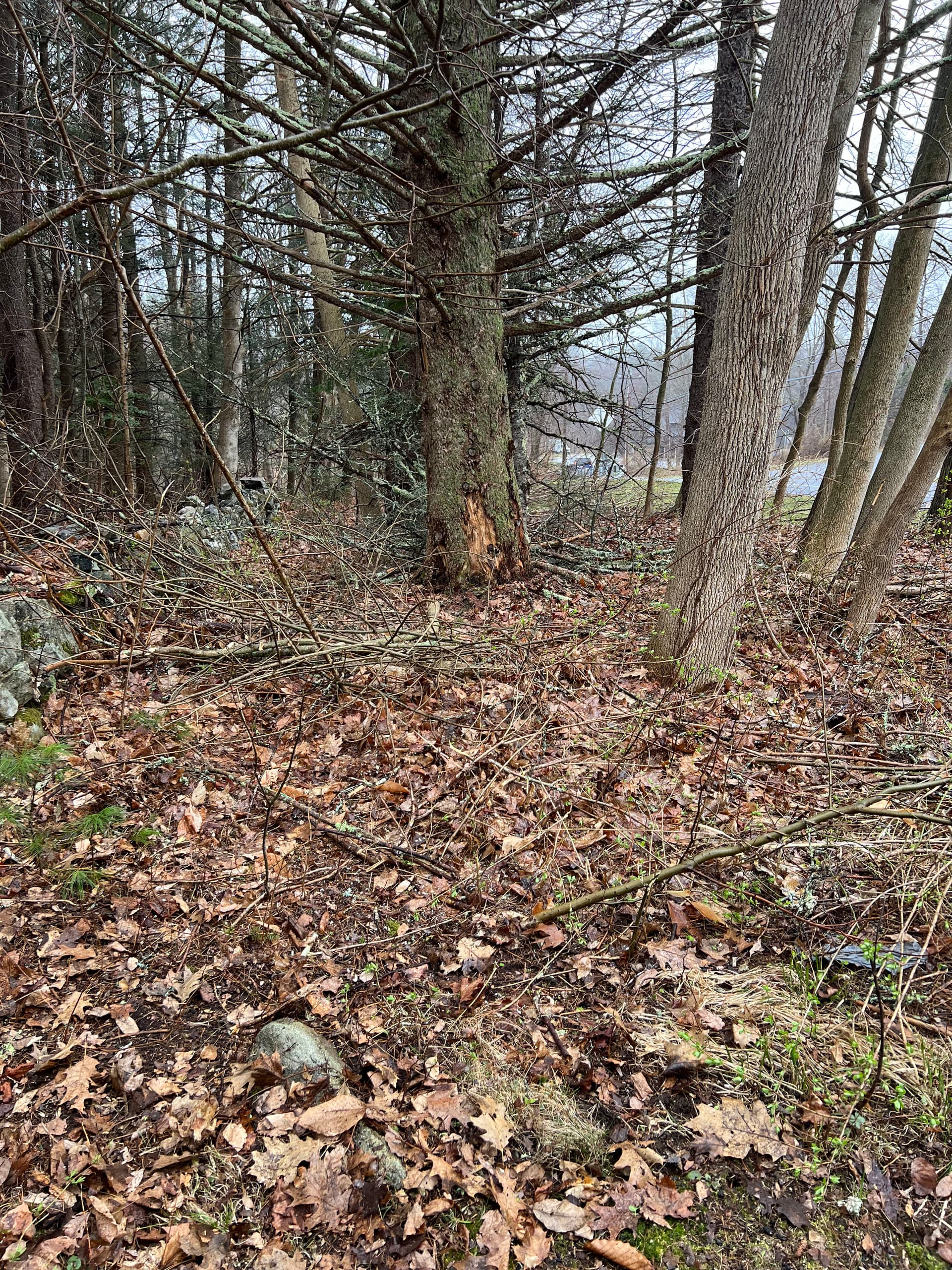 Seamless Transitioning of Seasons with Old Oak Landscaping Solutions