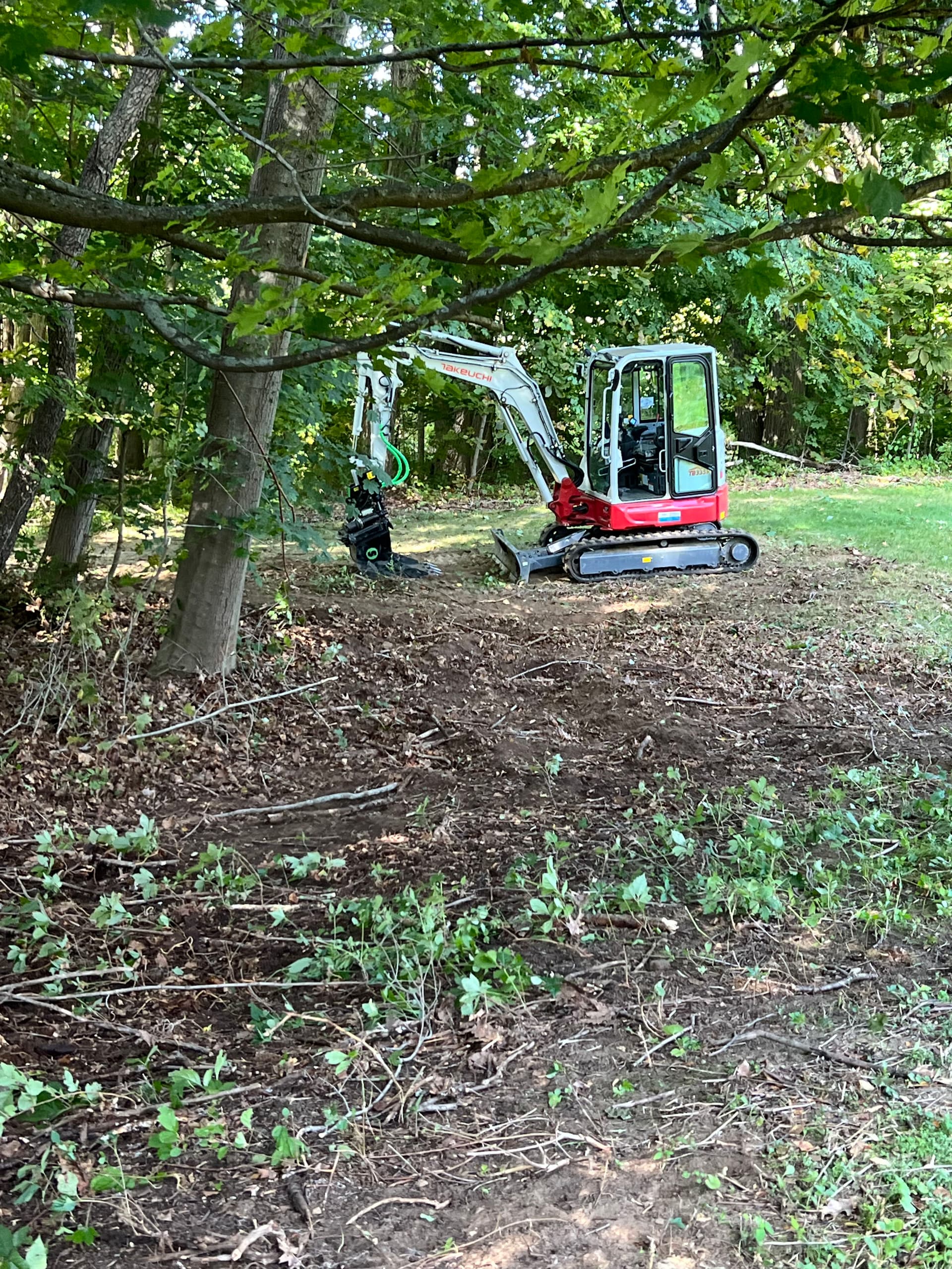 Gallery photos for Lawn Expansion with Light Excavation and Hydroseeding: Image #5