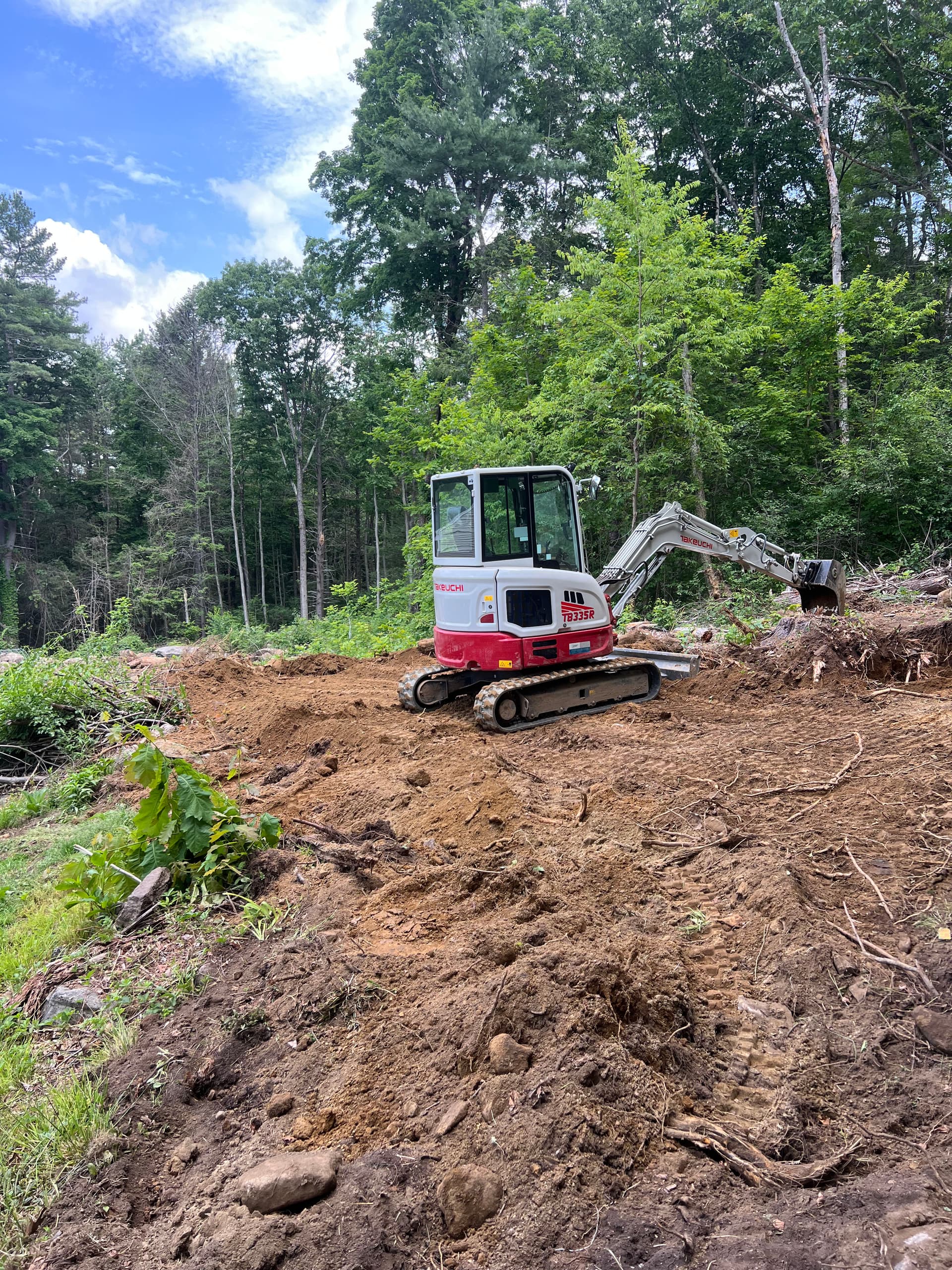Gallery photos for Stump Removal and Land Grading Done Right: Image #2