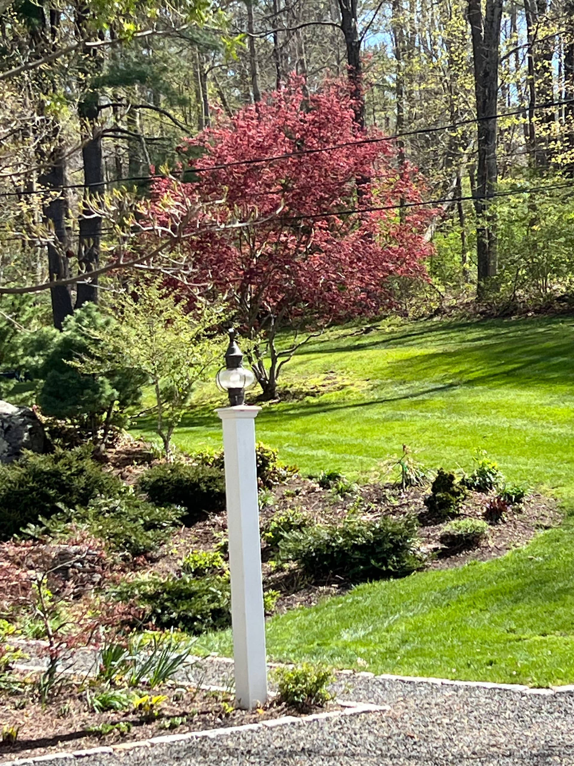 Gallery photos for Two-Day Spring Cleanup That Set This Property Up Right: Image #1