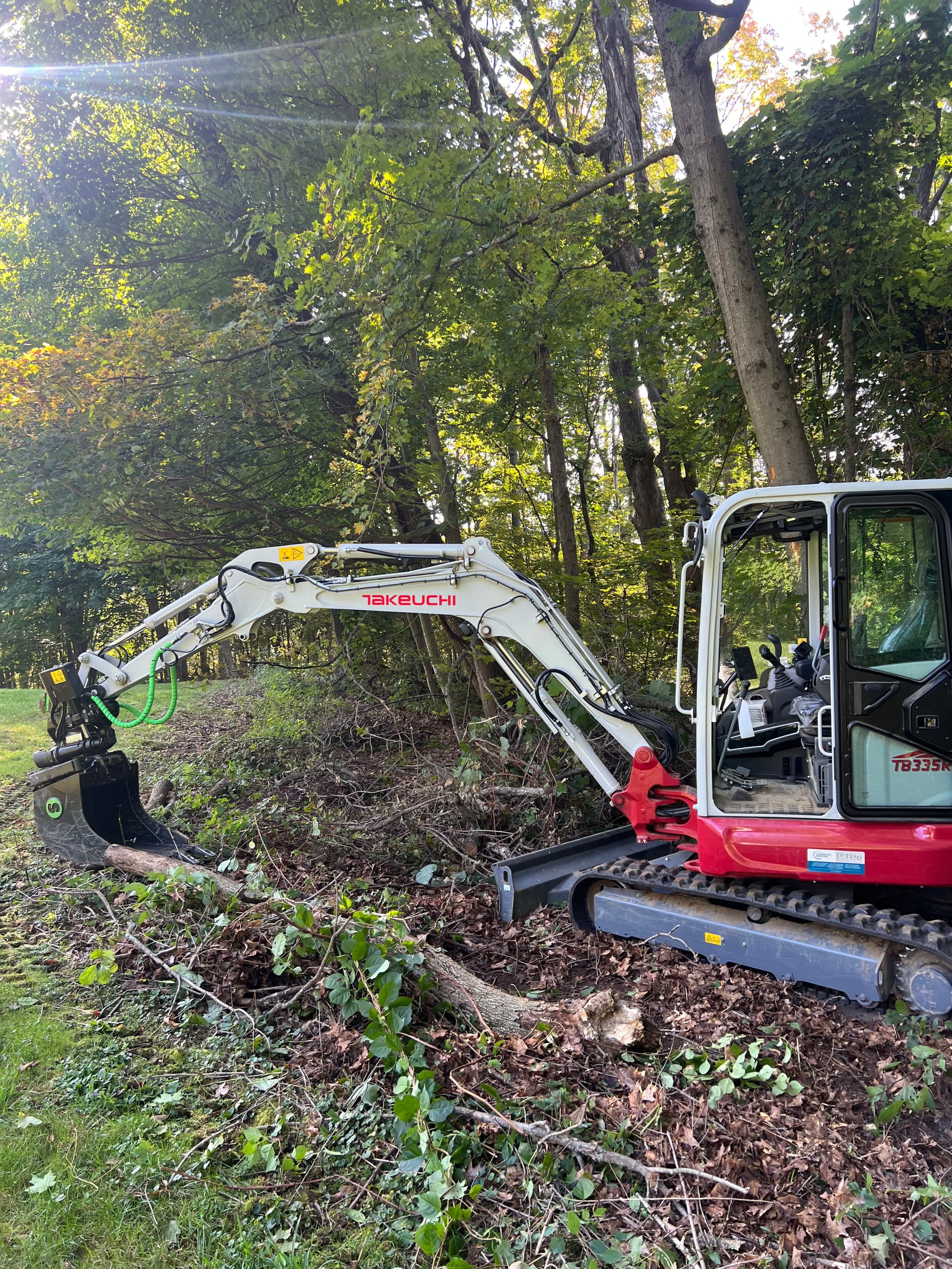 Gallery photos for Lawn Expansion with Light Excavation and Hydroseeding: Image #4