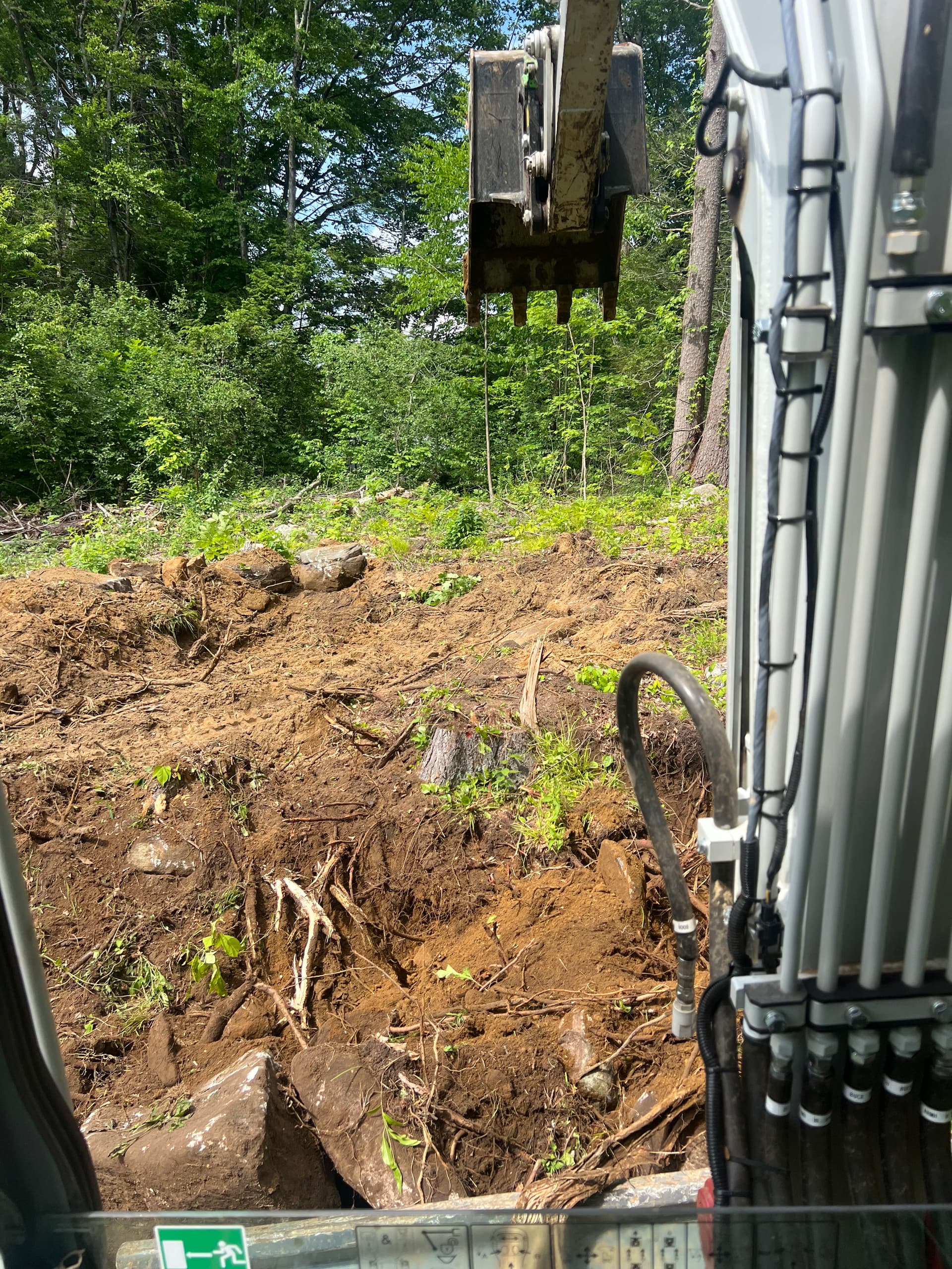 Gallery photos for Stump Removal and Land Grading Done Right: Image #1