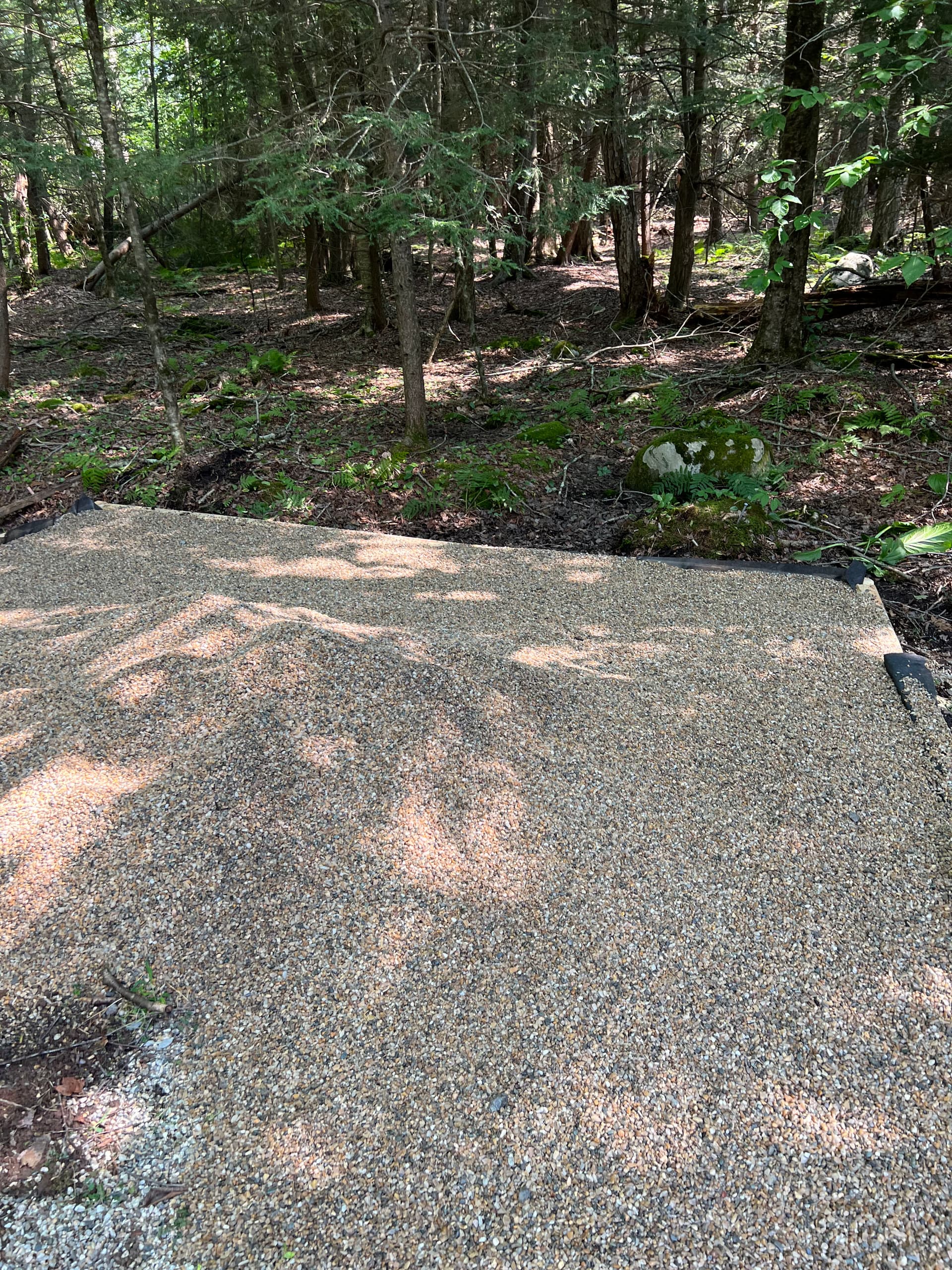 Gallery photos for Beach Refreshes, Brush Clearing, and Land Clearing Still Available: Image #2