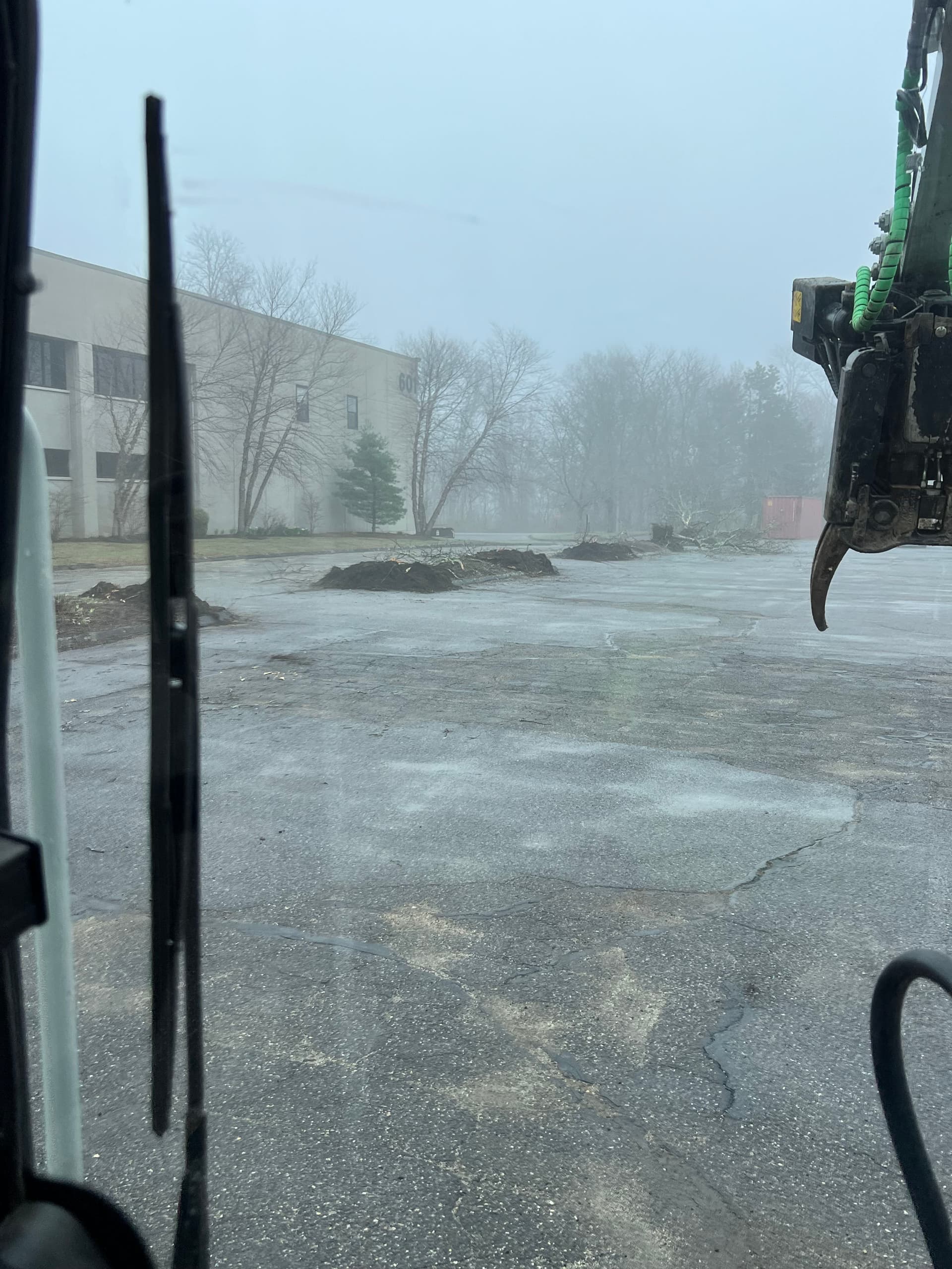 Gallery photos for Tree Clearing at a Commercial Property to Make Way for New Landscaping: Image #2