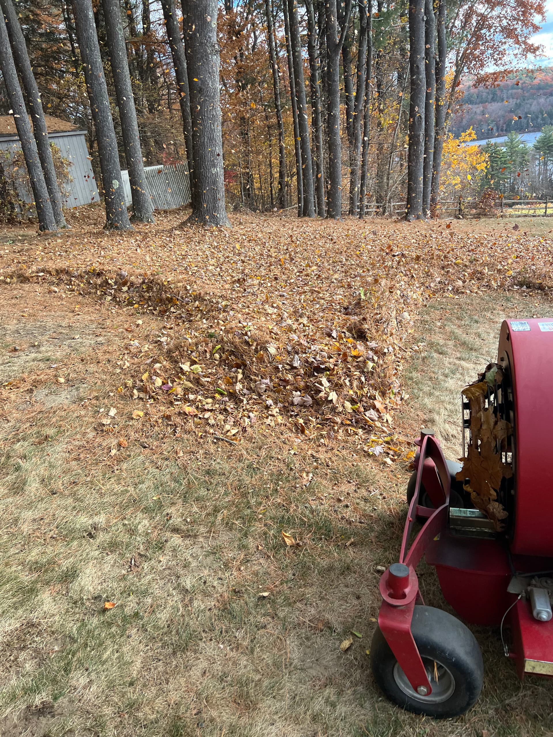 Gallery photos for Leaf-Free Paths with Old Oak Landscaping Solutions: Image #2