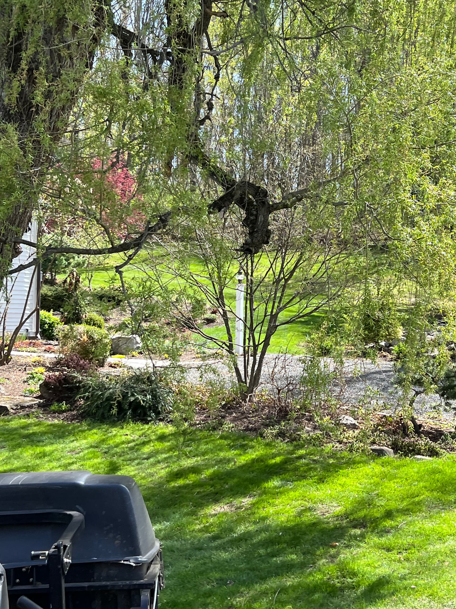 Gallery photos for Two-Day Spring Cleanup That Set This Property Up Right: Image #2