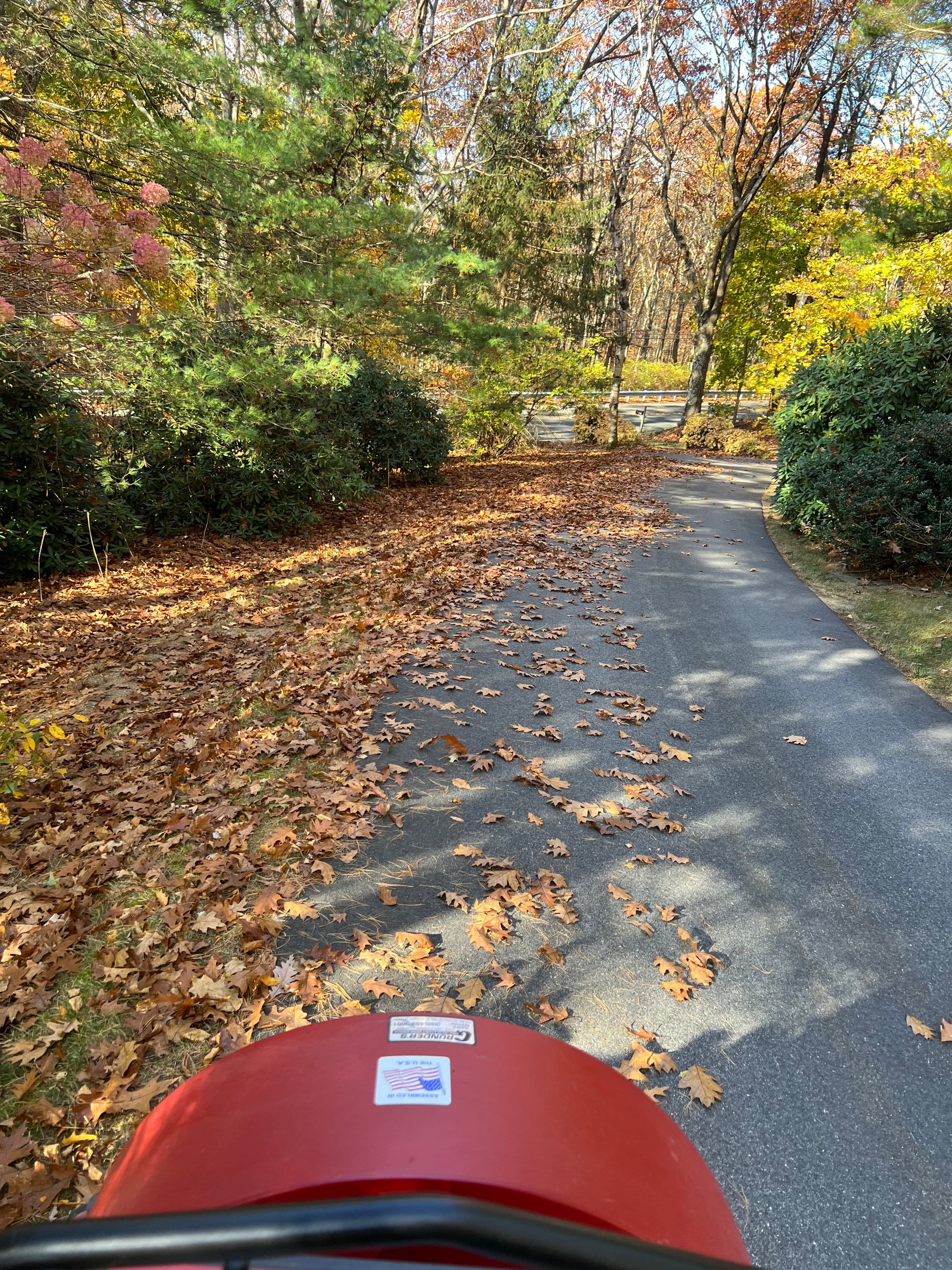 Project Leaf-Free Paths with Old Oak Landscaping Solutions image