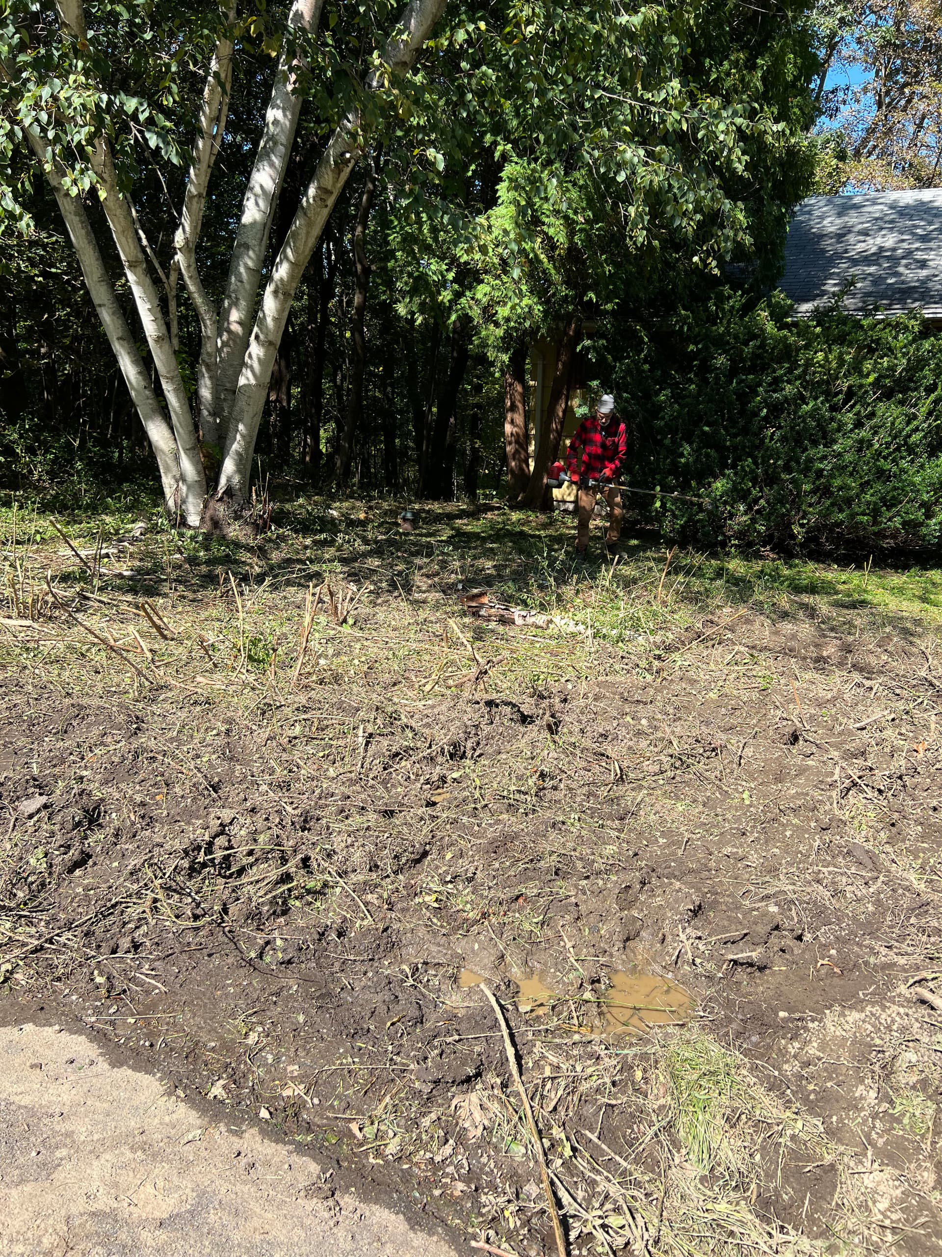 Gallery photos for Beach Refreshes, Brush Clearing, and Land Clearing Still Available: Image #4
