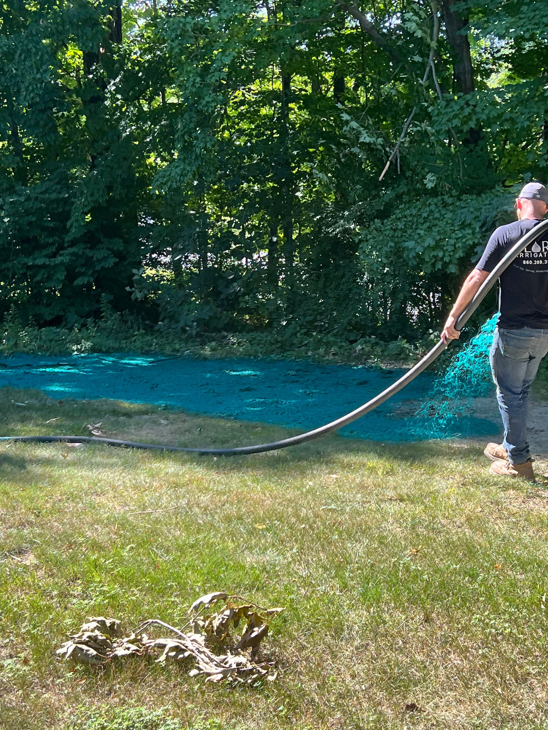 Gallery photos for Lawn Expansion with Light Excavation and Hydroseeding: Image #9