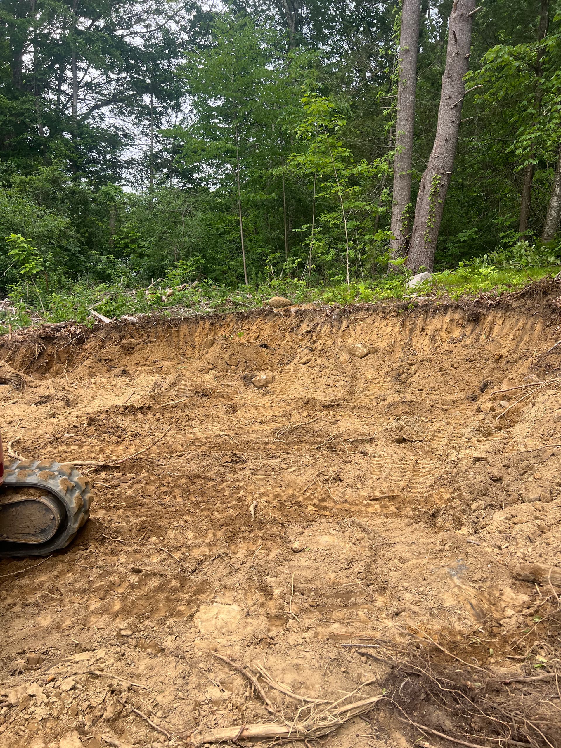 Gallery photos for Stump Removal and Land Grading Done Right: Image #3