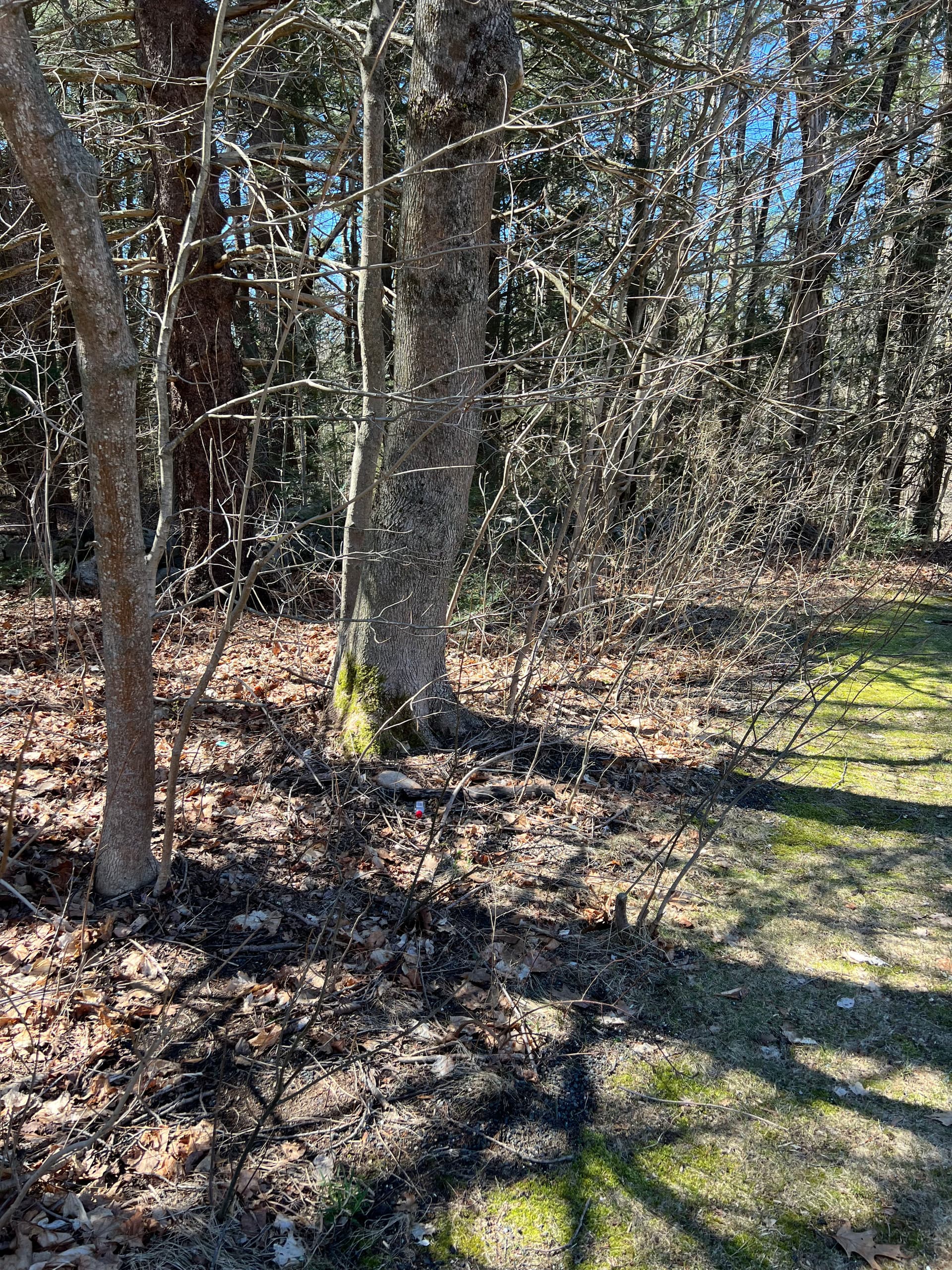 Seamless Transitioning of Seasons with Old Oak Landscaping Solutions