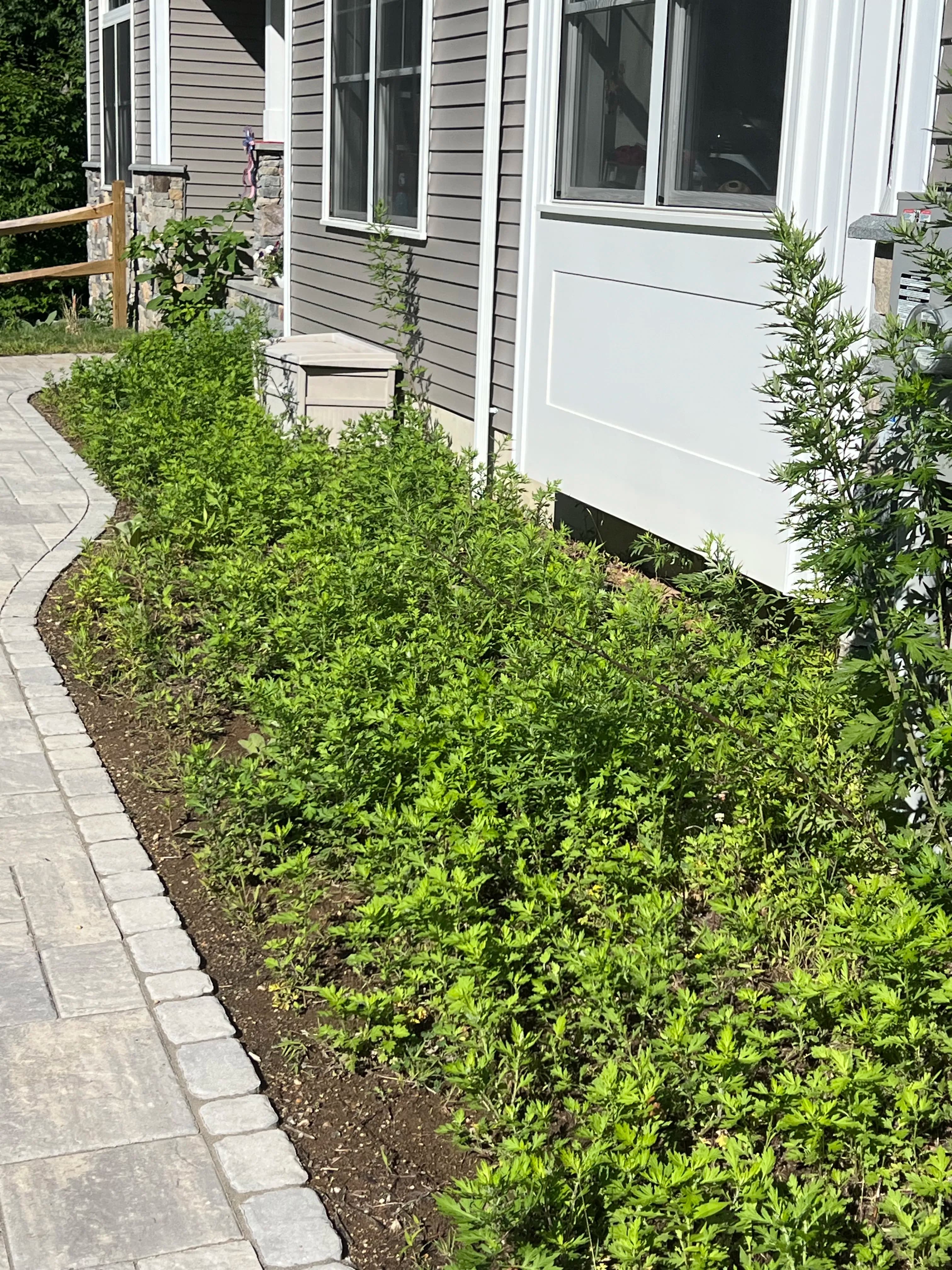 Project Busy Season Is Here - Landscape Prep, Brush Clearing and Storm Cleanup image