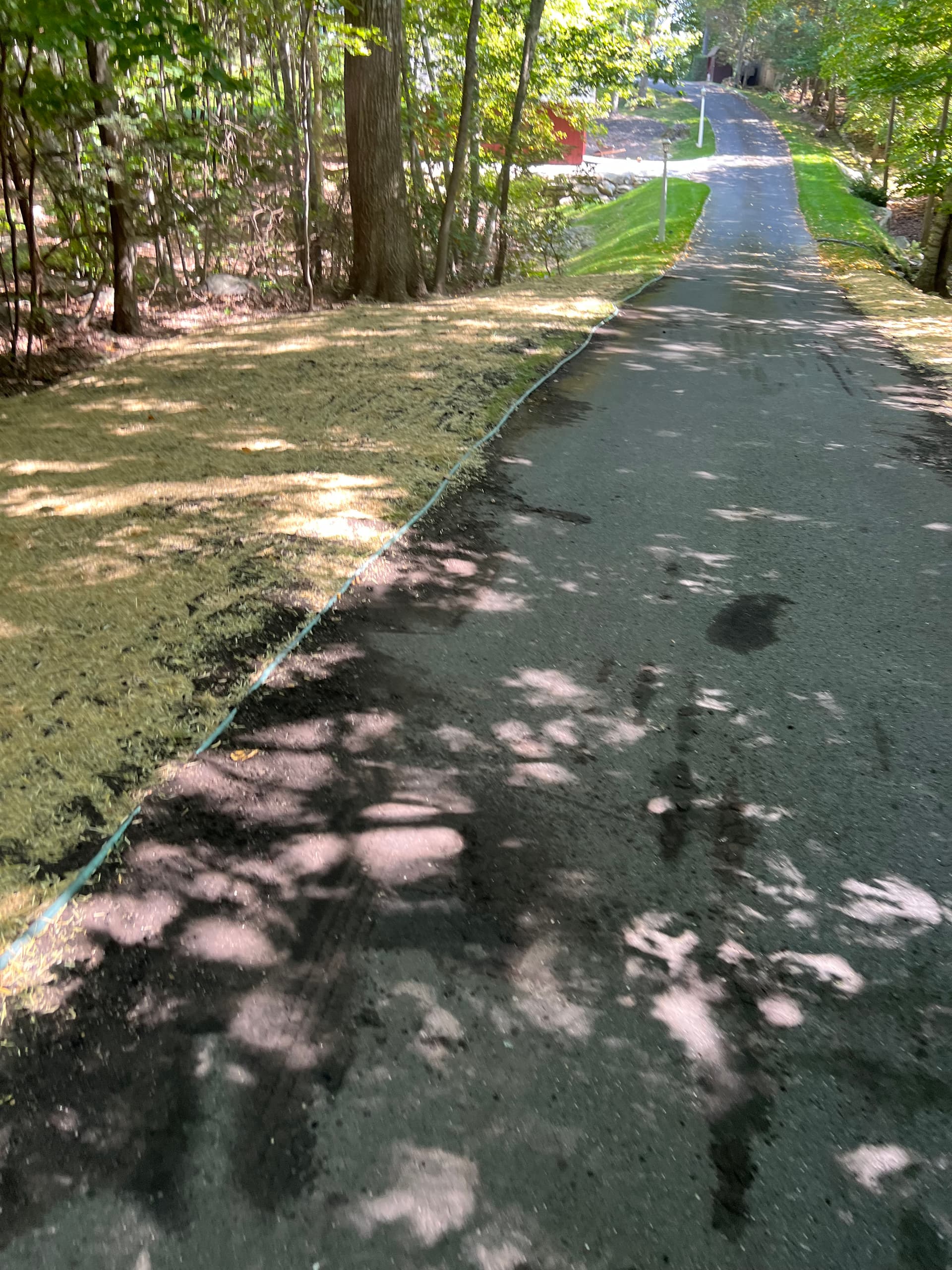 Gallery photos for Lawn Expansion Along a Long Driveway Done Right: Image #2