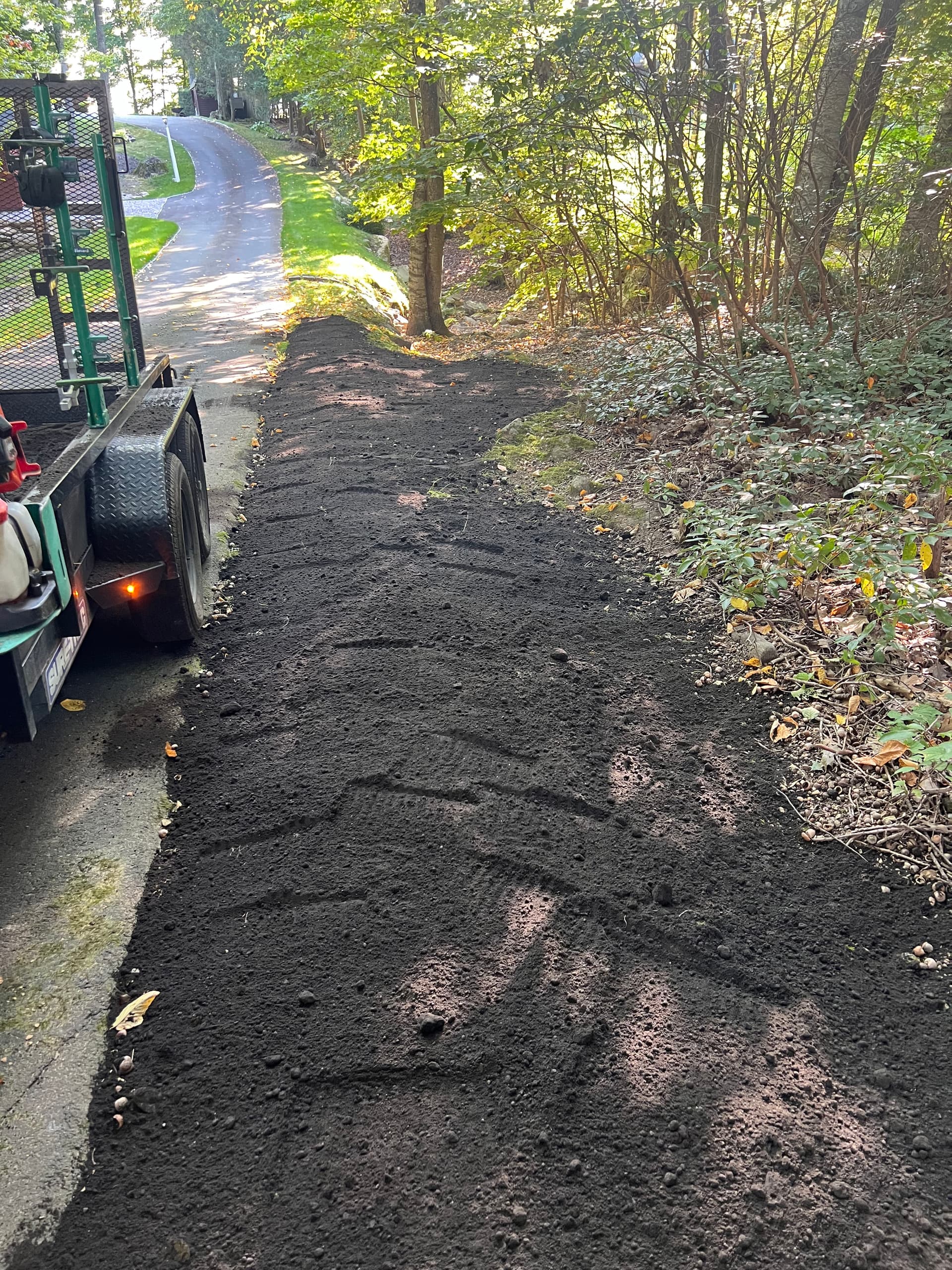 Lawn Expansion Along a Long Driveway Done Right image