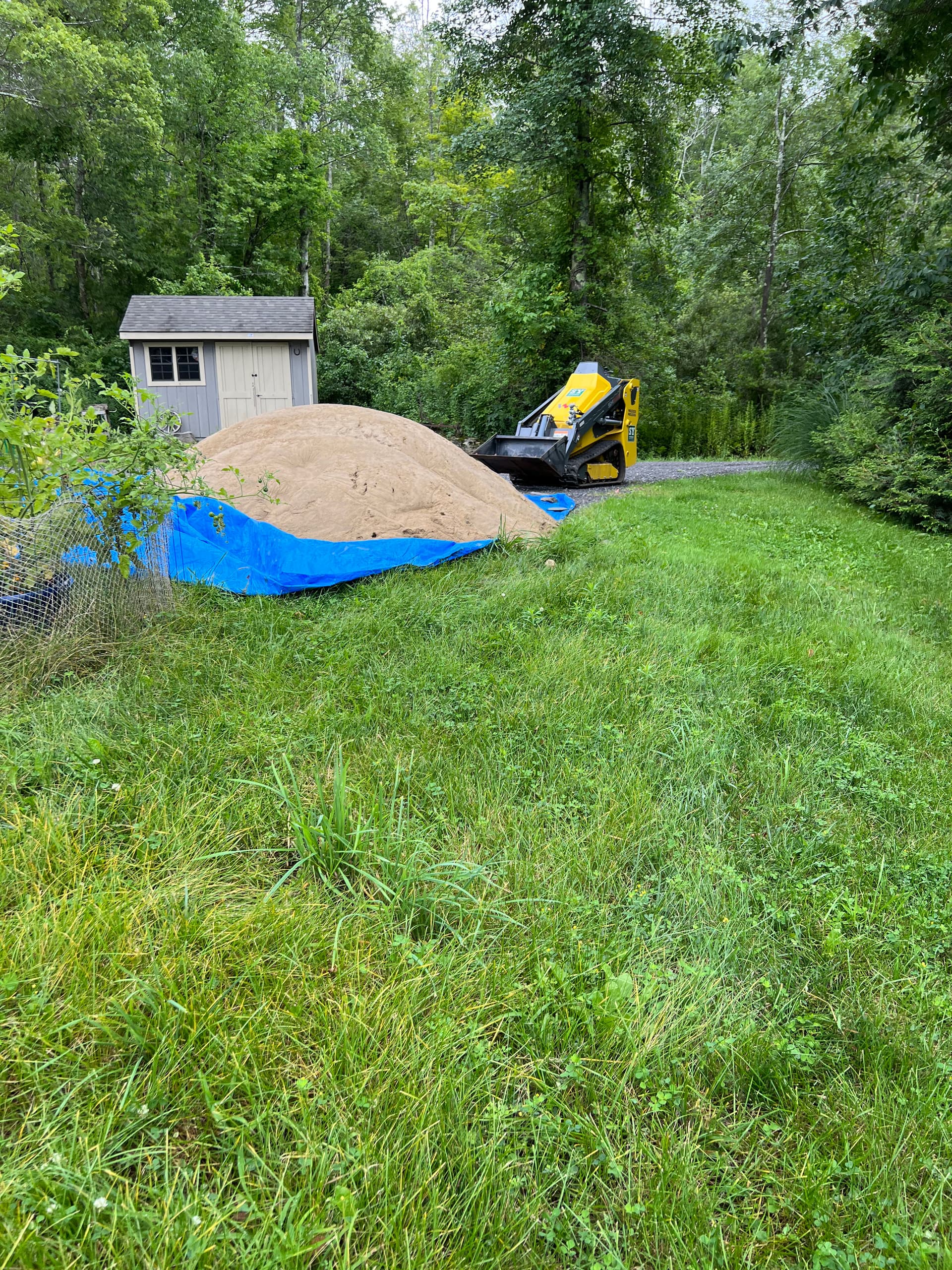 Beach Refreshes, Brush Clearing, and Land Clearing Still Available