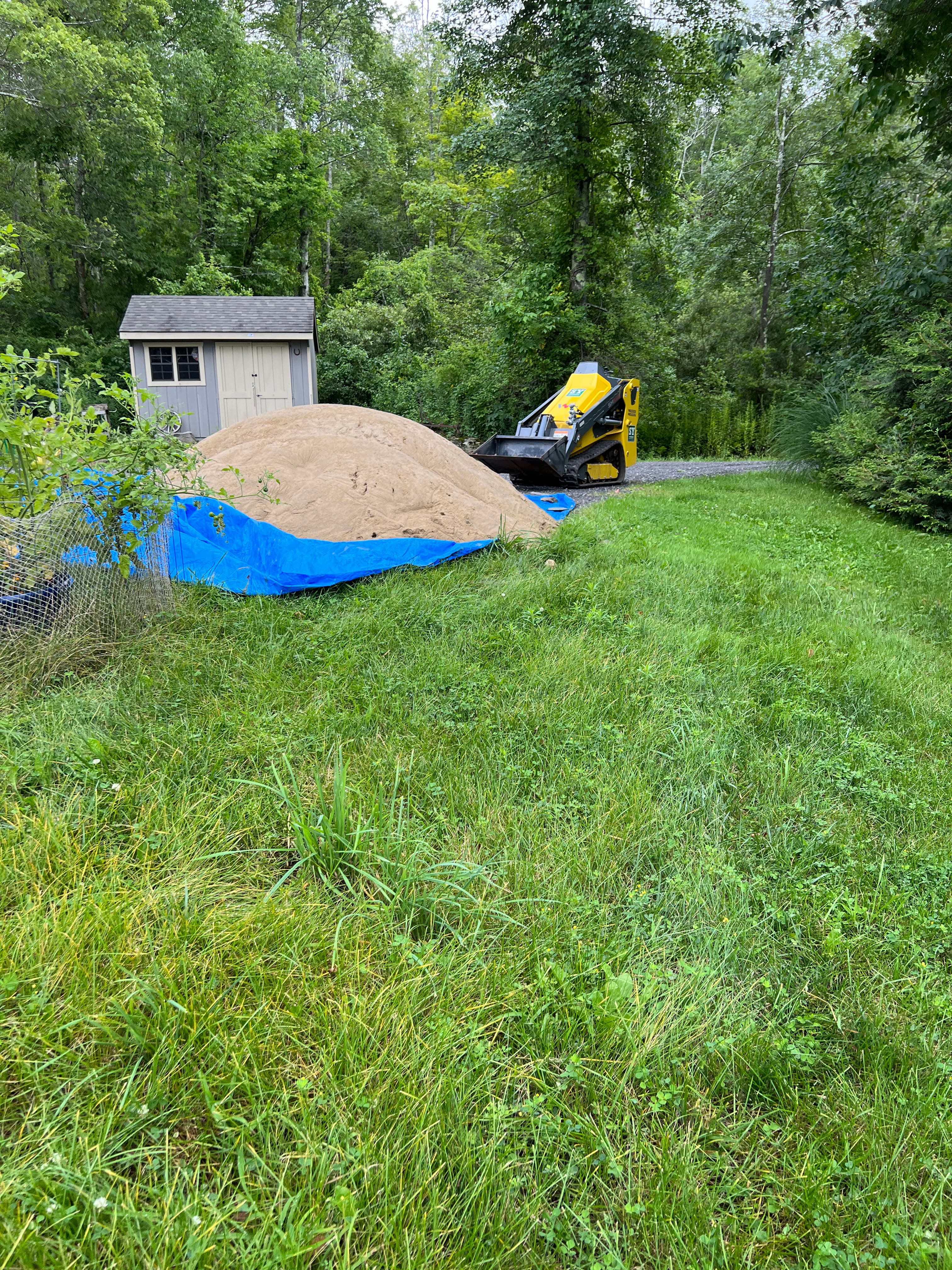 Project Beach Refreshes, Brush Clearing, and Land Clearing Still Available image