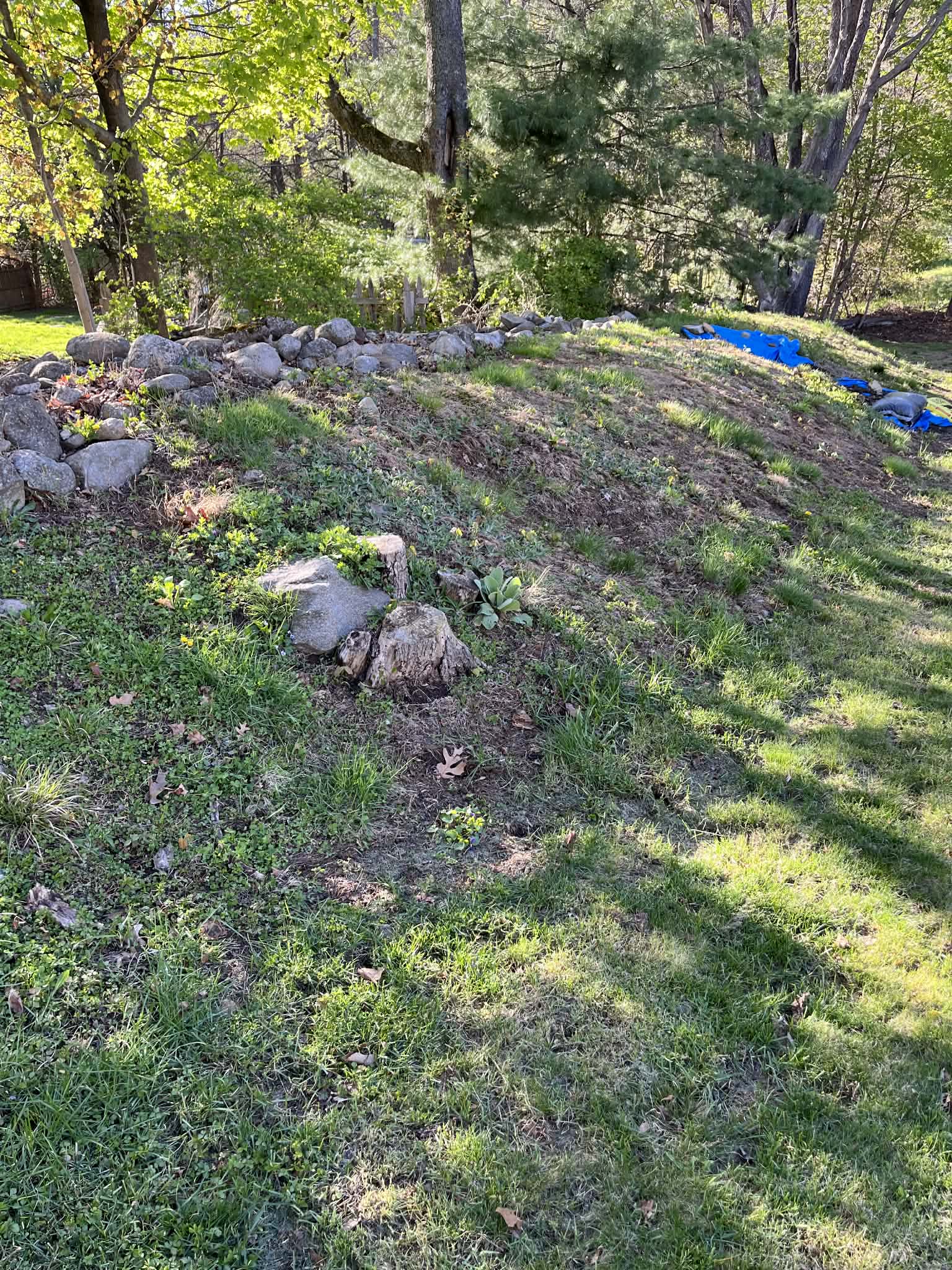 Gallery photos for Backyard Sinkhole Fixed With Smart Regrading Work: Image #1