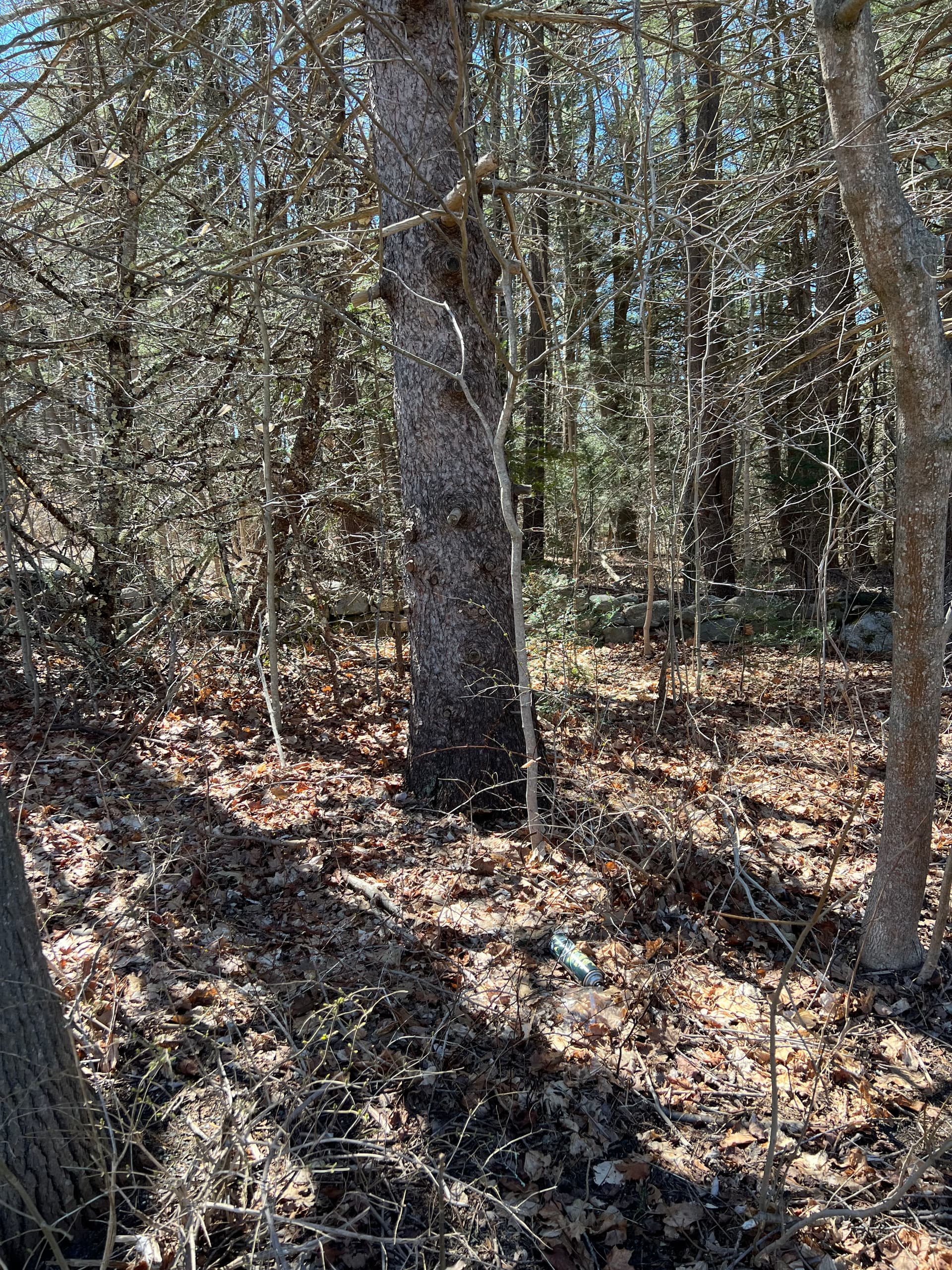 Seamless Transitioning of Seasons with Old Oak Landscaping Solutions