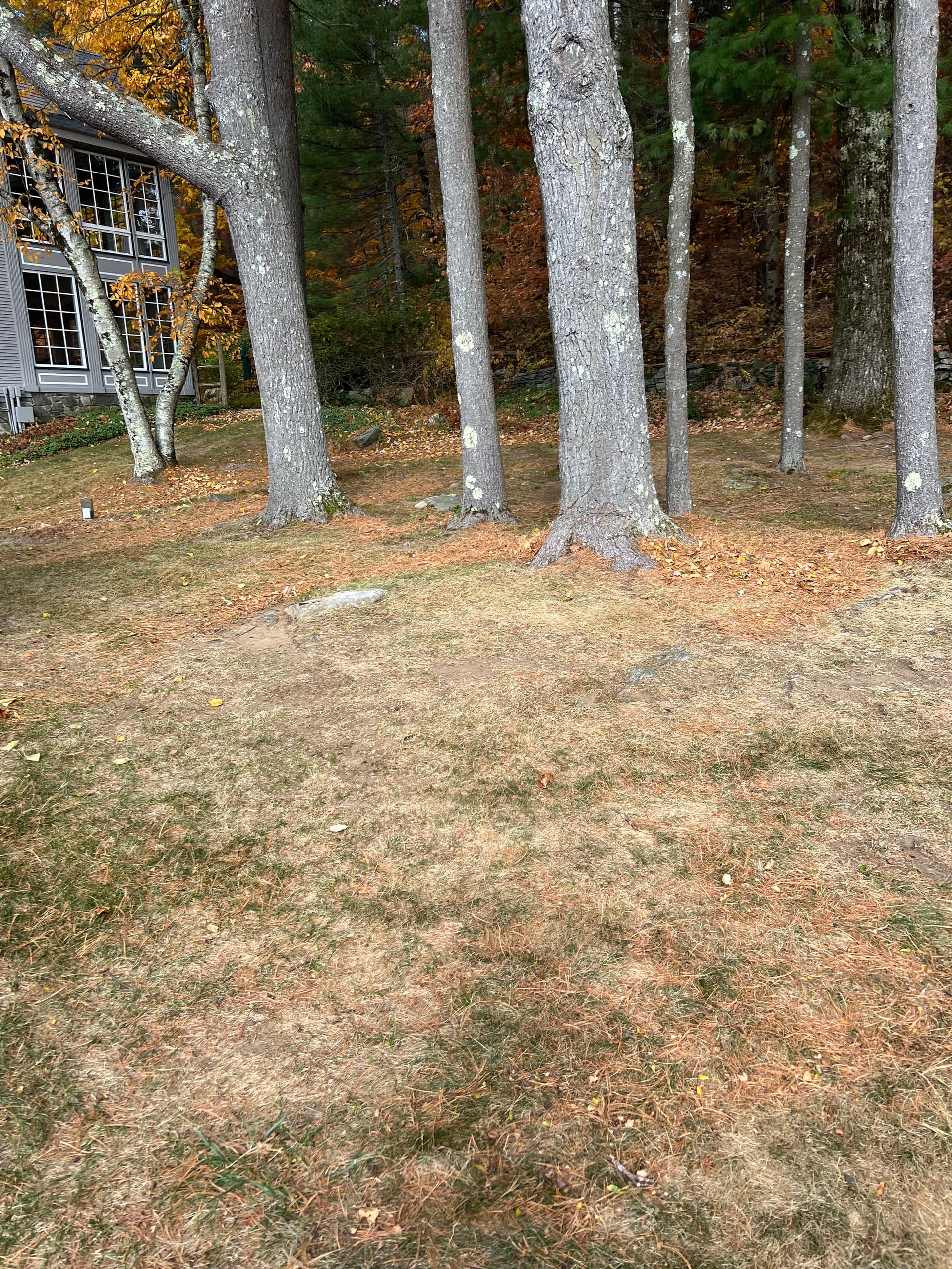 Gallery photos for Leaf-Free Paths with Old Oak Landscaping Solutions: Image #3