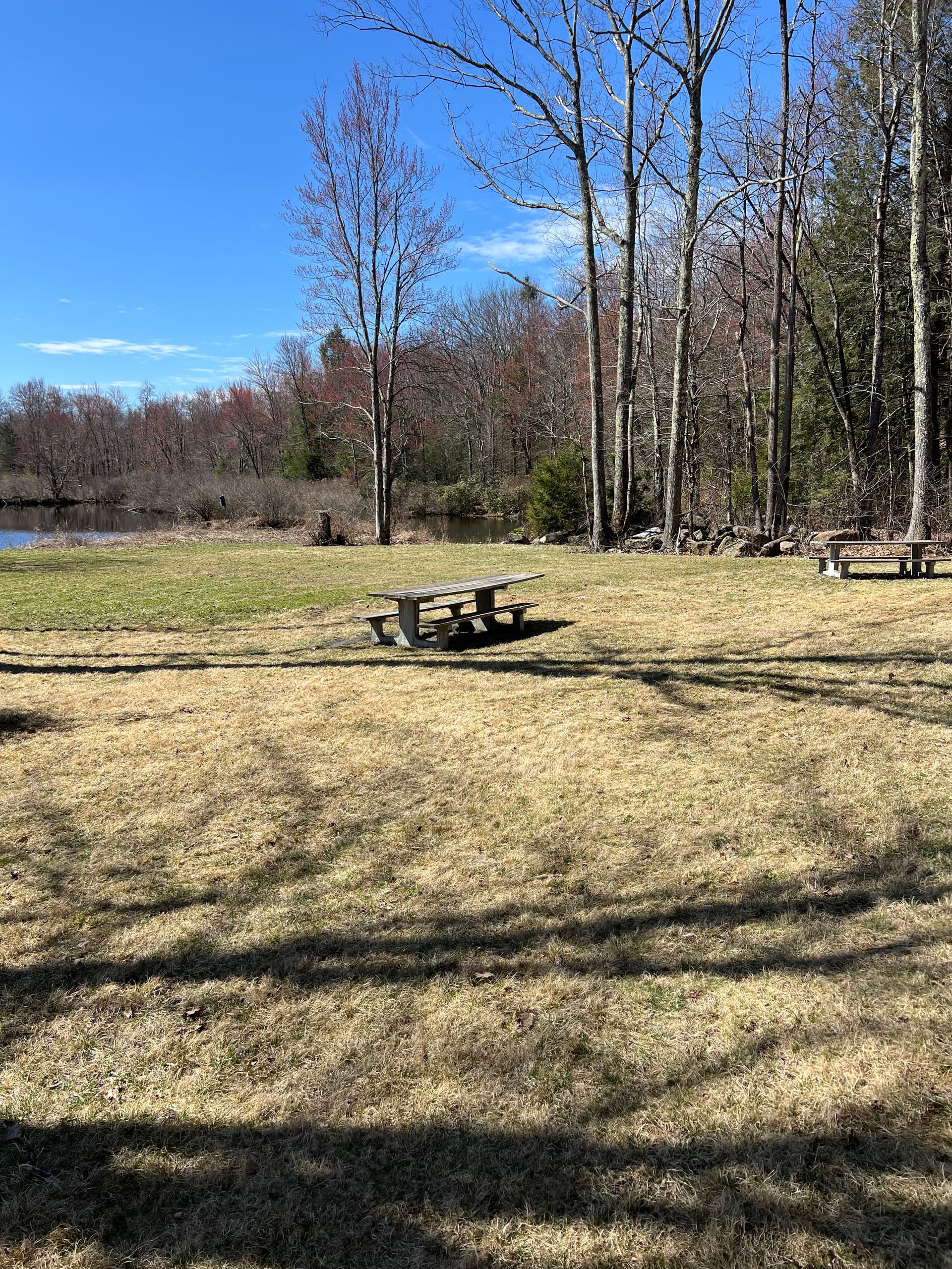 Gallery photos for Spring Cleanup That Turns a Leaf-Covered Lawn Into a Clean Slate: Image #2