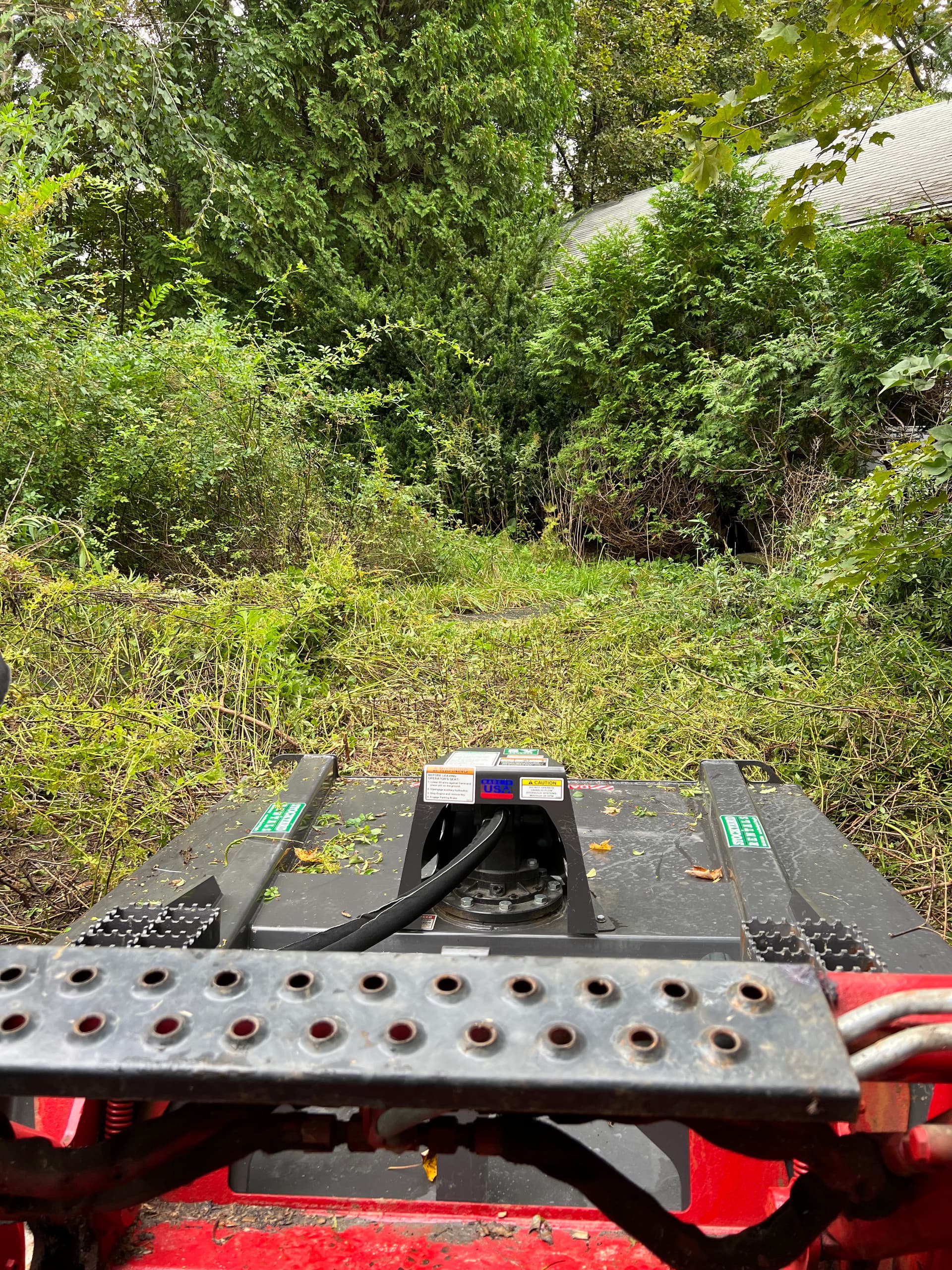 Gallery photos for Beach Refreshes, Brush Clearing, and Land Clearing Still Available: Image #3