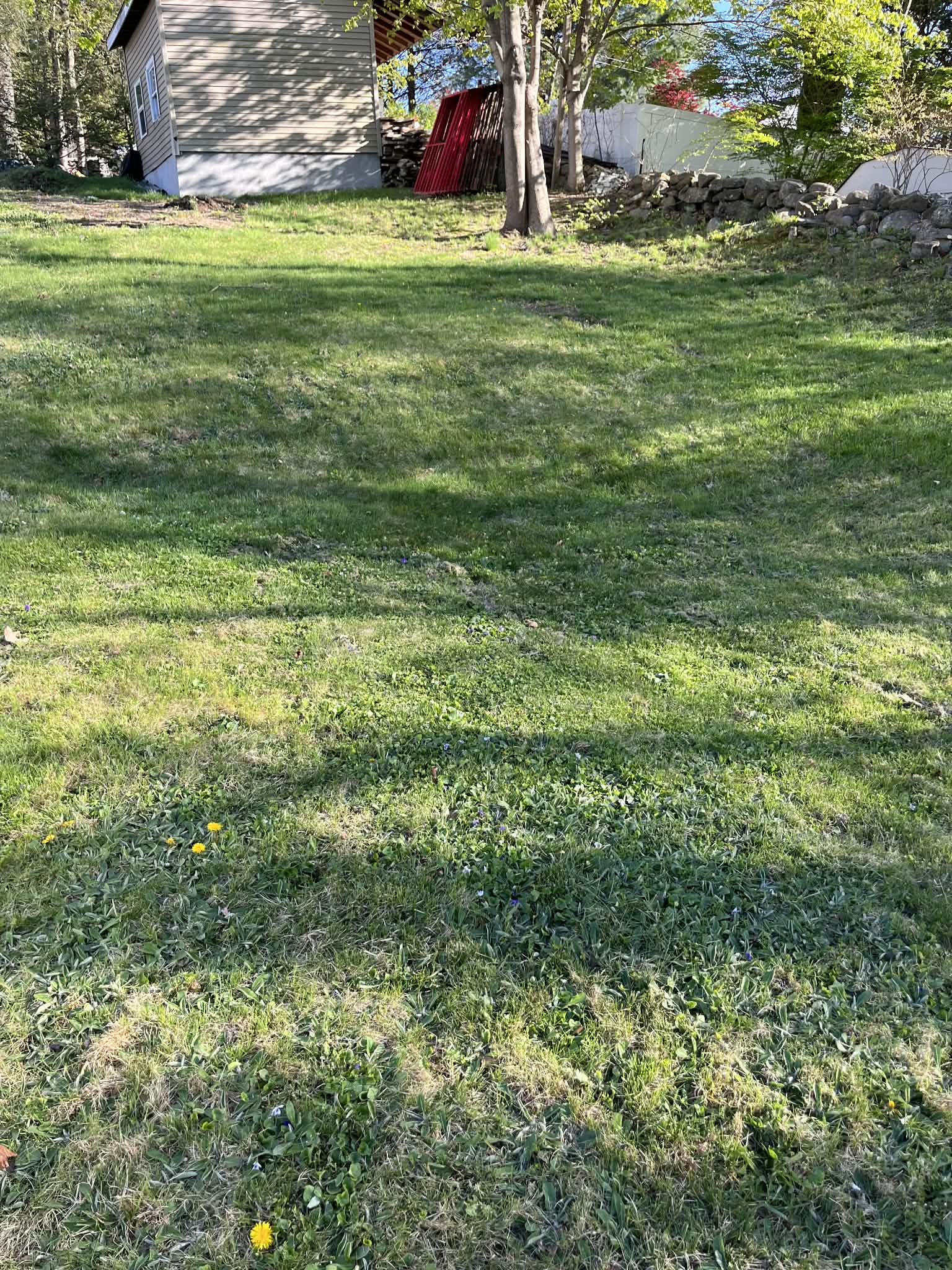 Project Backyard Sinkhole Fixed With Smart Regrading Work image