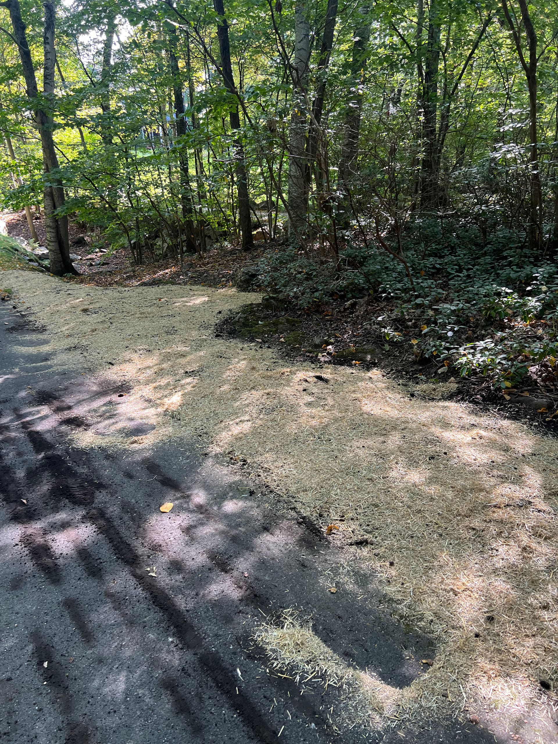 Gallery photos for Lawn Expansion Along a Long Driveway Done Right: Image #1