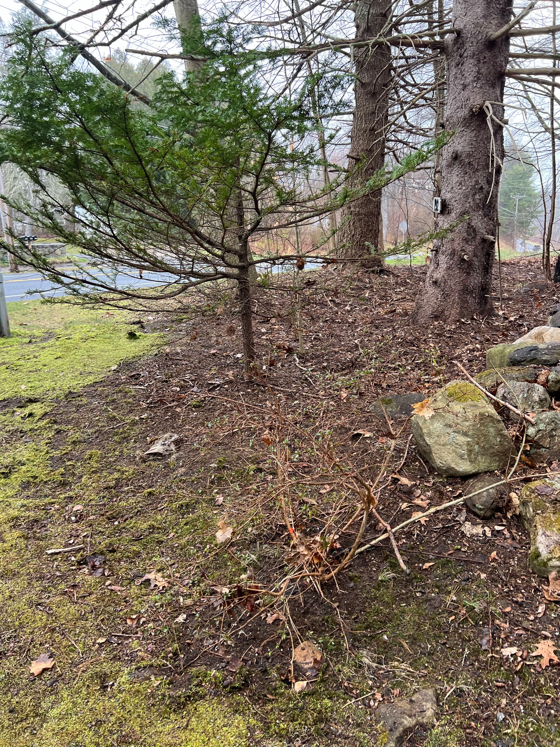 Seamless Transitioning of Seasons with Old Oak Landscaping Solutions