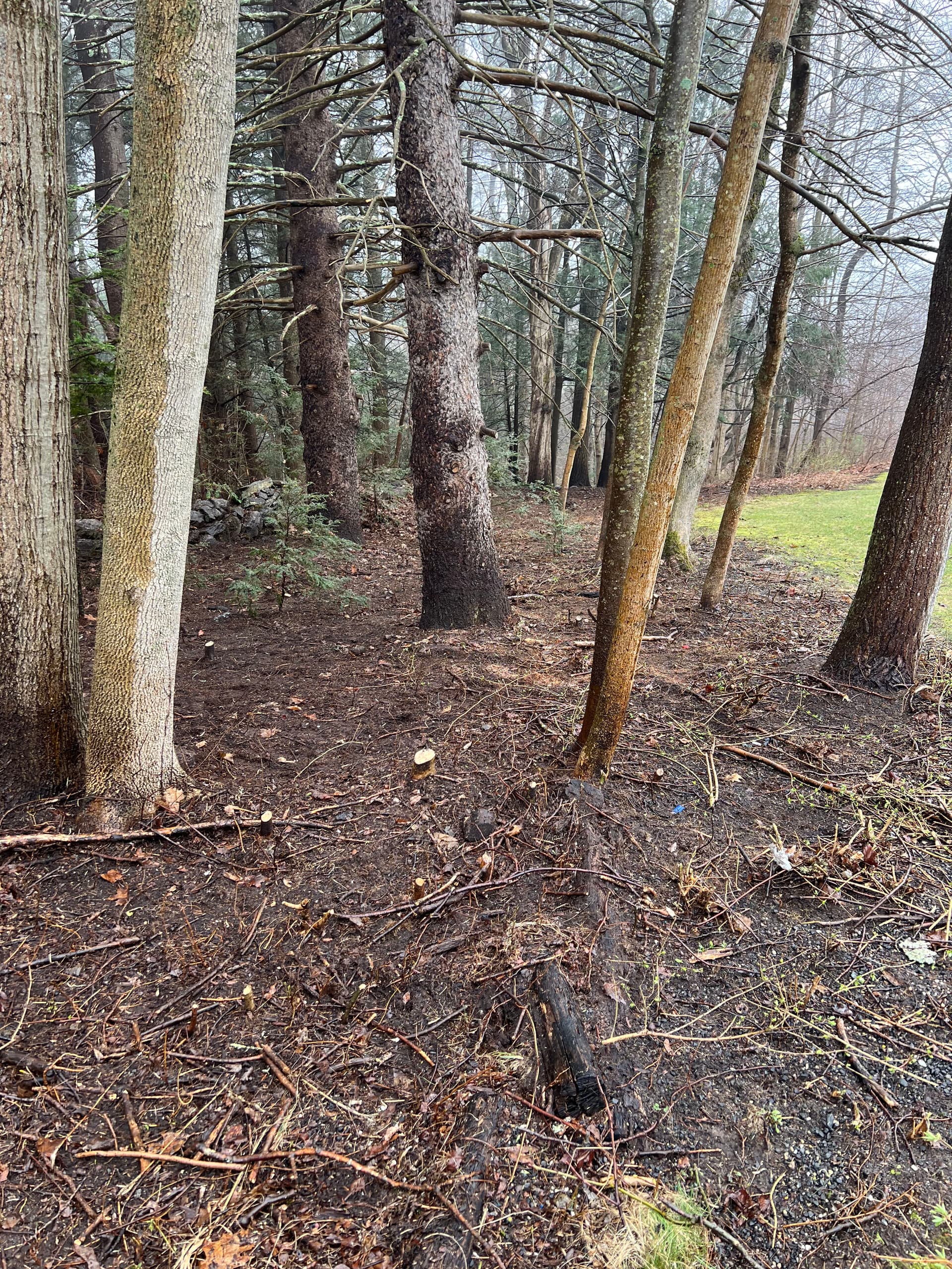 Seamless Transitioning of Seasons with Old Oak Landscaping Solutions