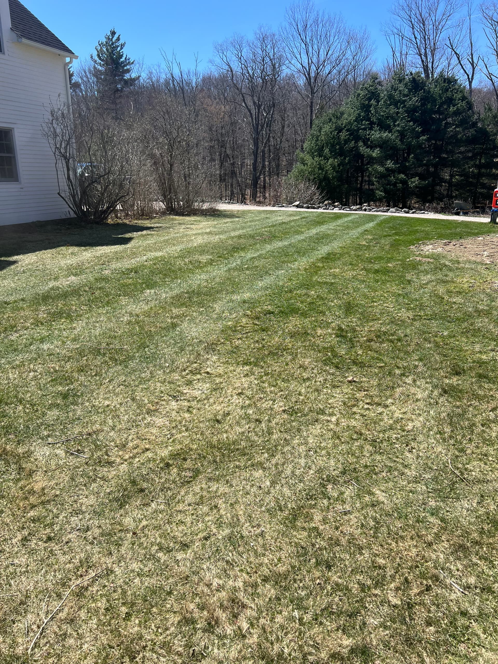 Gallery photos for Spring Cleanup That Turns a Leaf-Covered Lawn Into a Clean Slate: Image #1