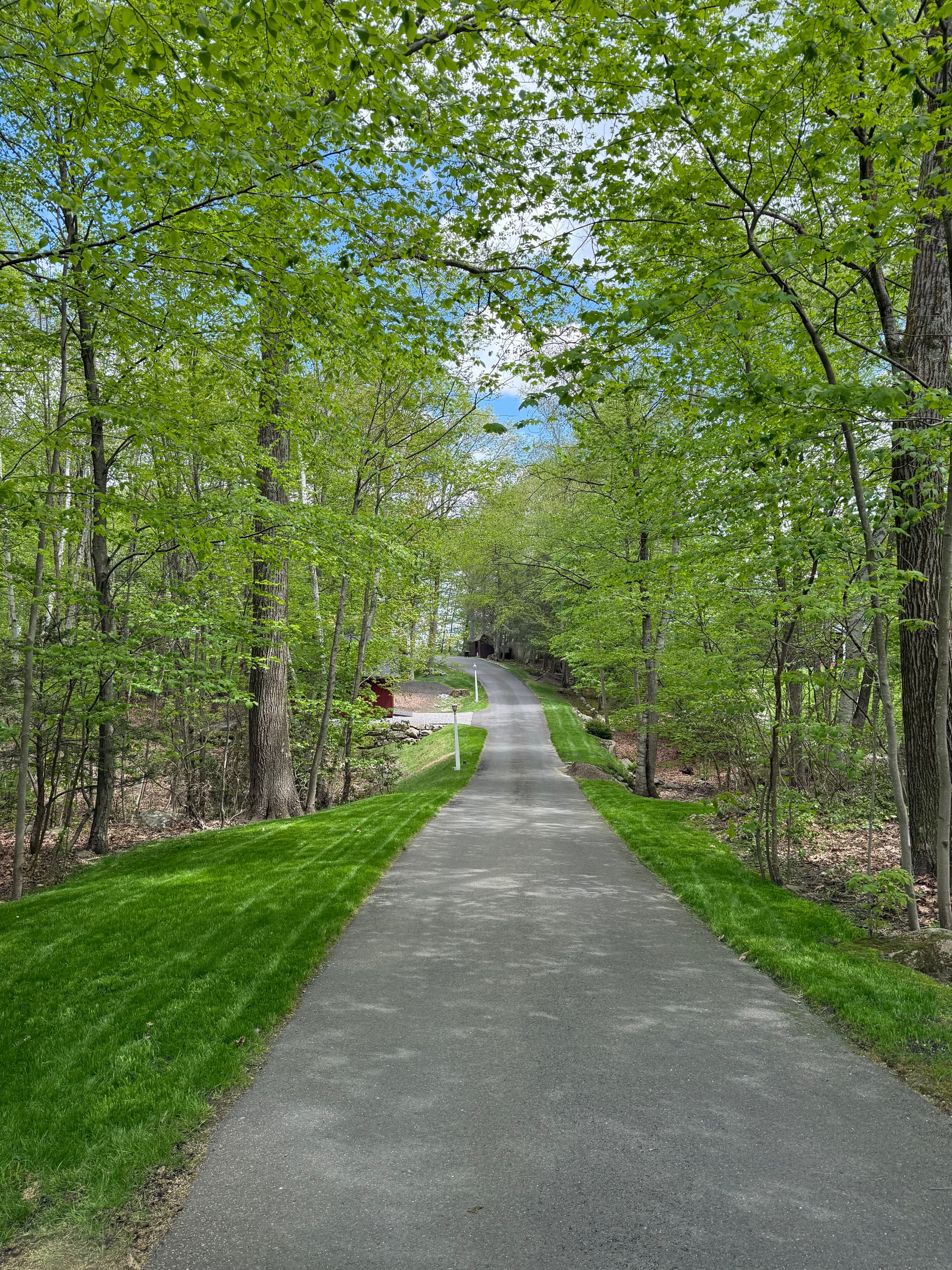 Gallery photos for Lawn Expansion Along a Long Driveway Done Right: Image #3
