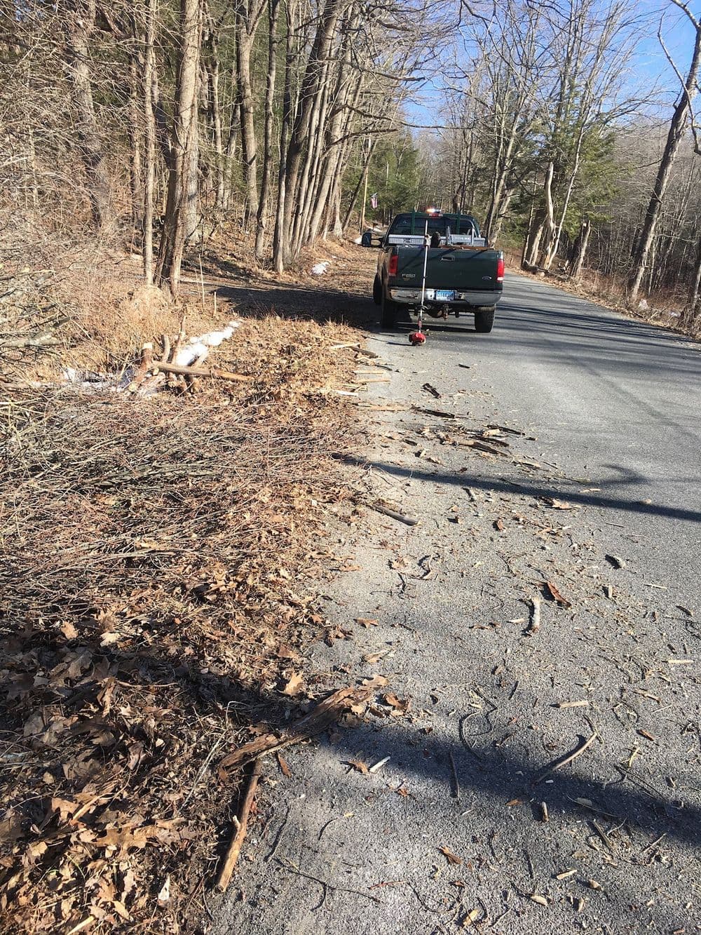 Pickup truck parked beside a wooded road with fallen branches and leaves on the ground.