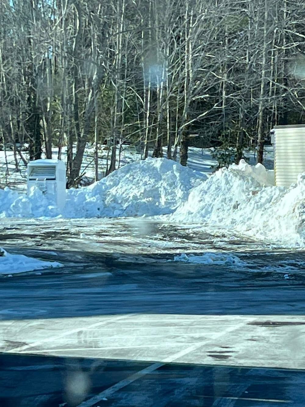 Snow-covered parking lot with large snow piles and bare trees in the background.