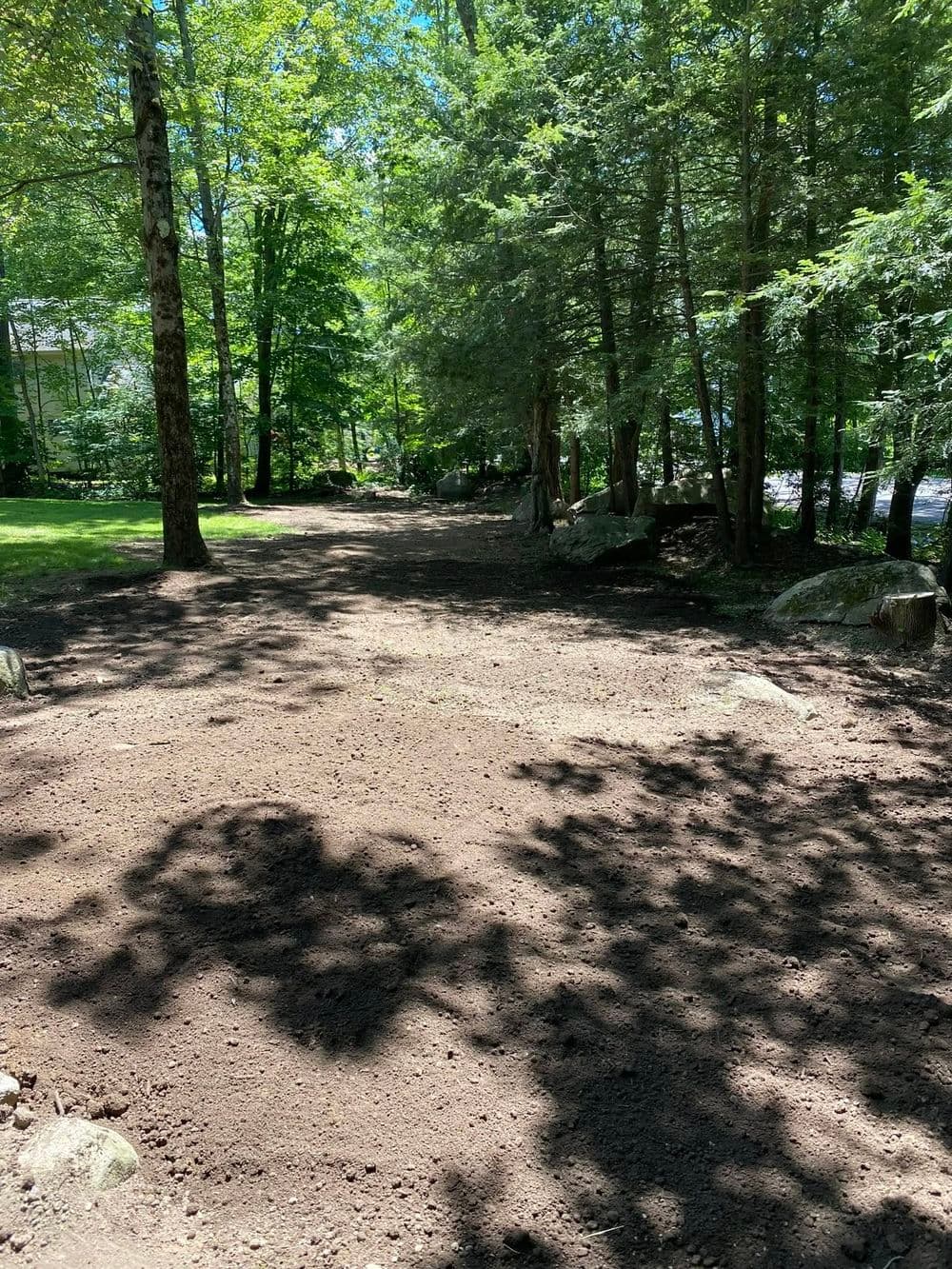 Cleared pathway in a wooded area with trees and rocks under dappled sunlight.