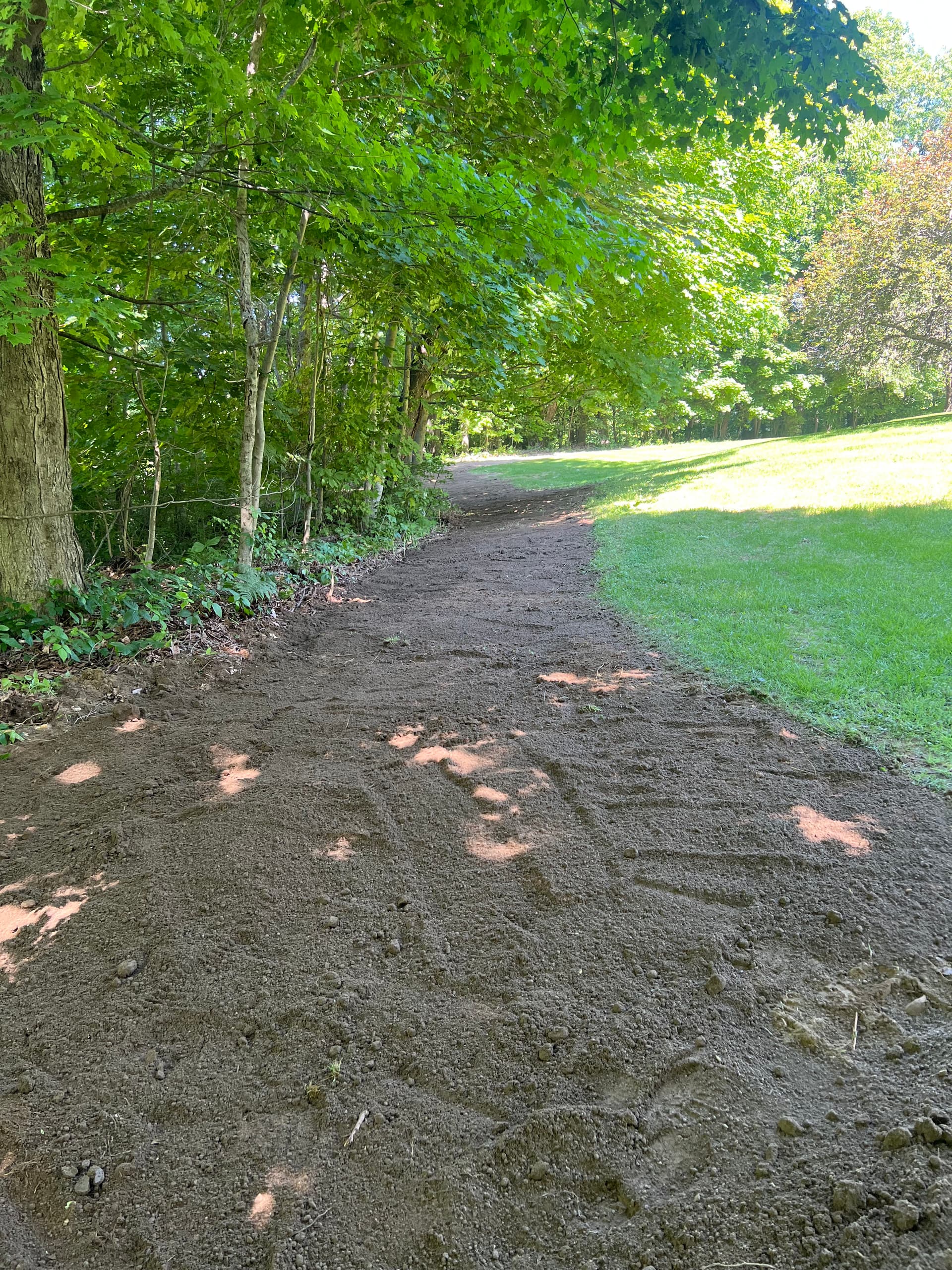 Gallery photos for Land Clearing and Lawn Expansion Done Right: Image #7