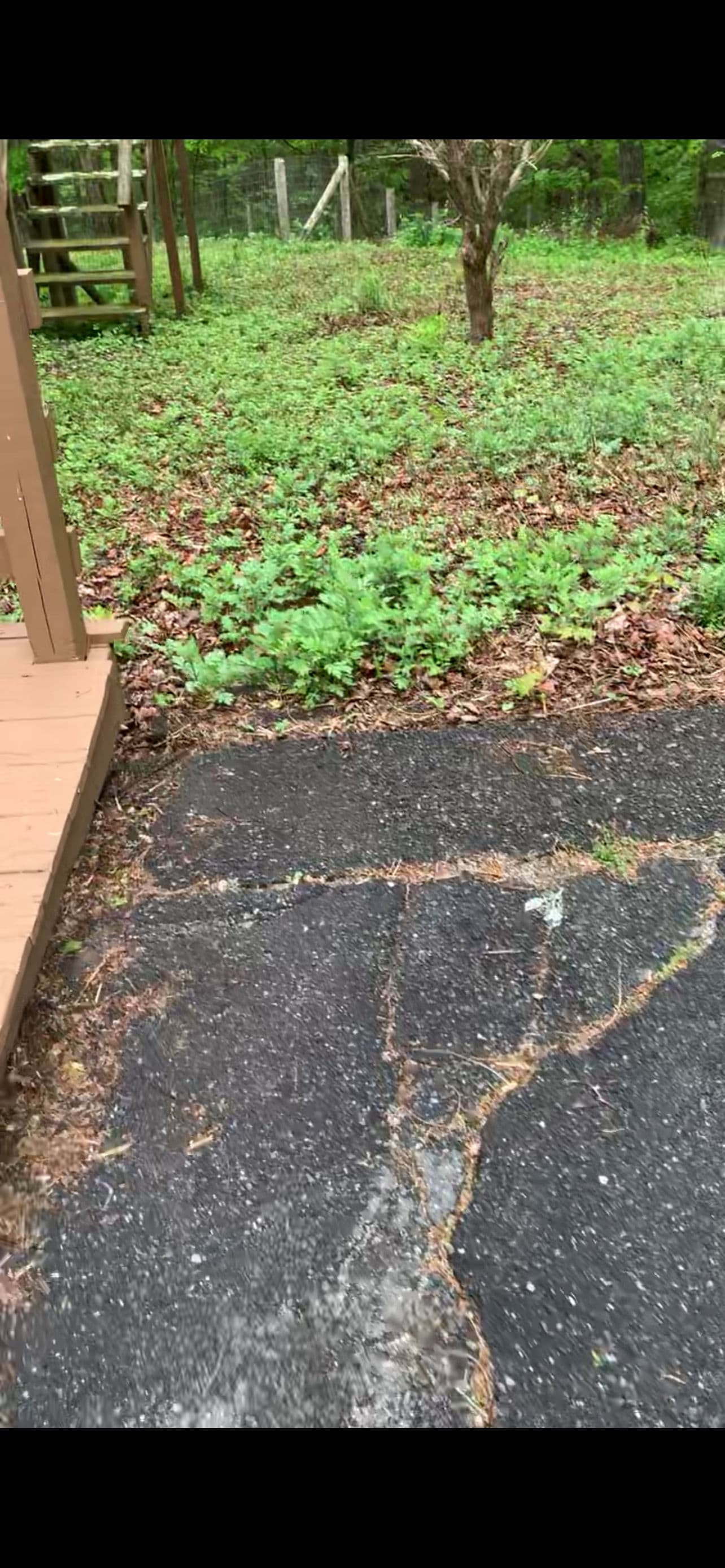 Site Grading and Ground Leveling for a Lawn That Actually Drains image