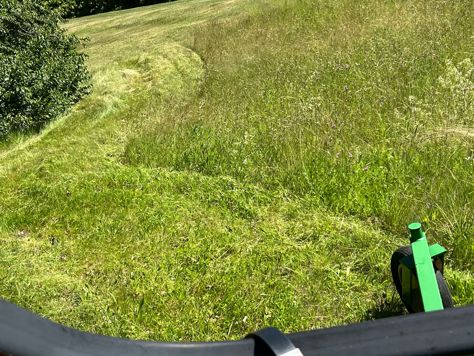 Brush Hogging an Estate Property Back Into Shape image
