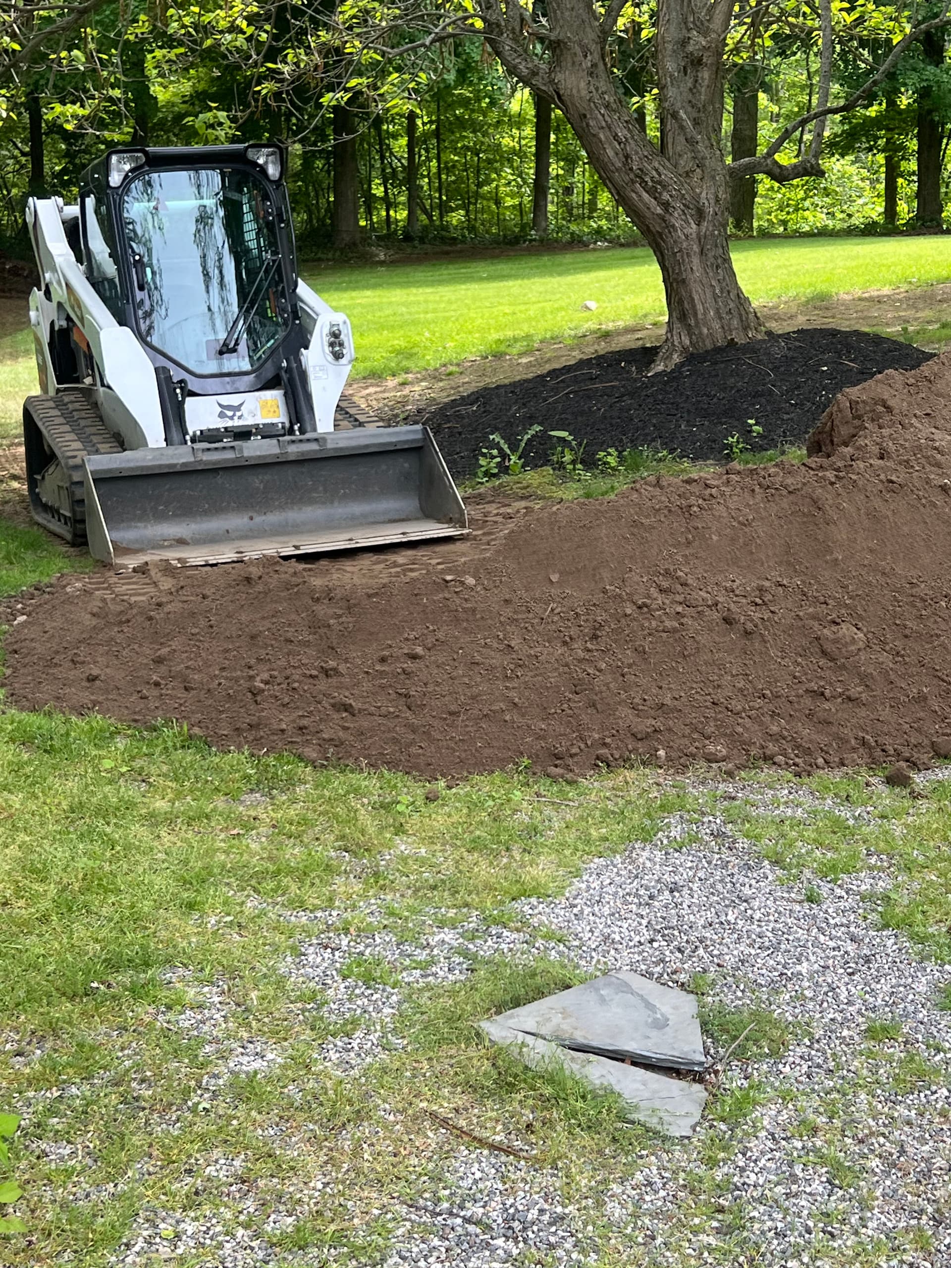 Gallery photos for Land Clearing and Lawn Expansion Done Right: Image #5