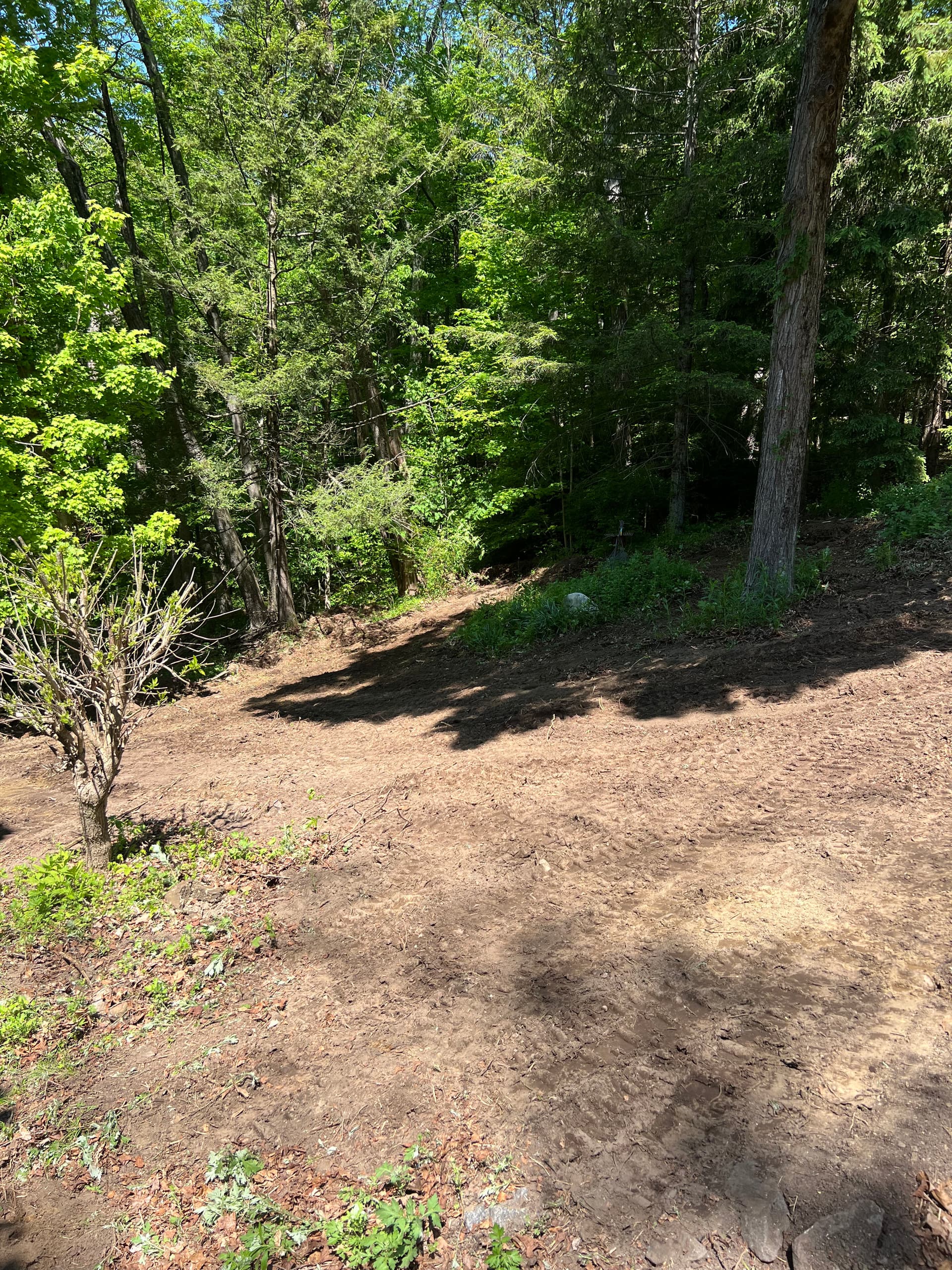 Gallery photos for Site Grading and Ground Leveling for a Lawn That Actually Drains: Image #1
