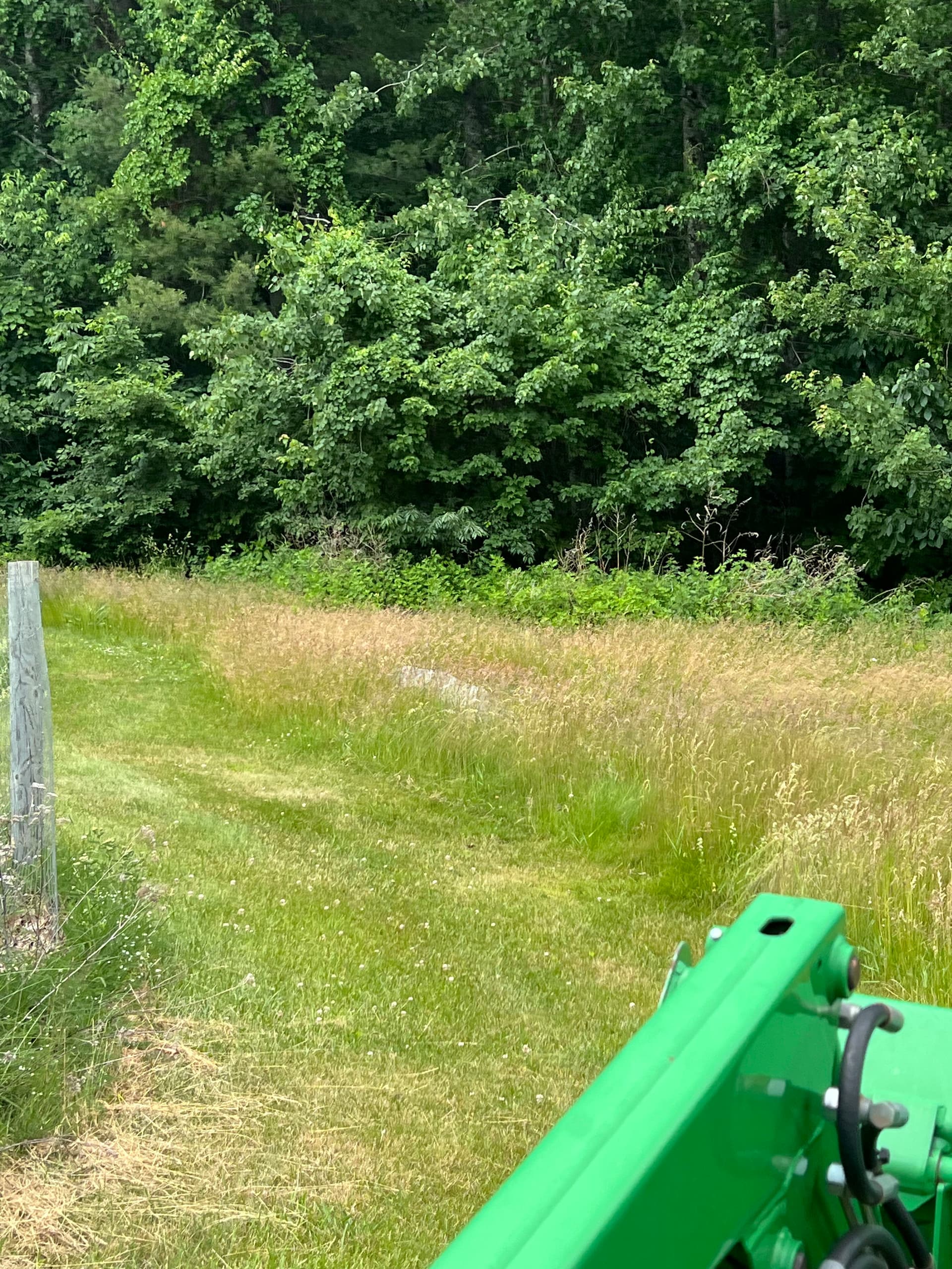 Gallery photos for Estate Field Brush Hogging Done Right Before the Fourth: Image #1