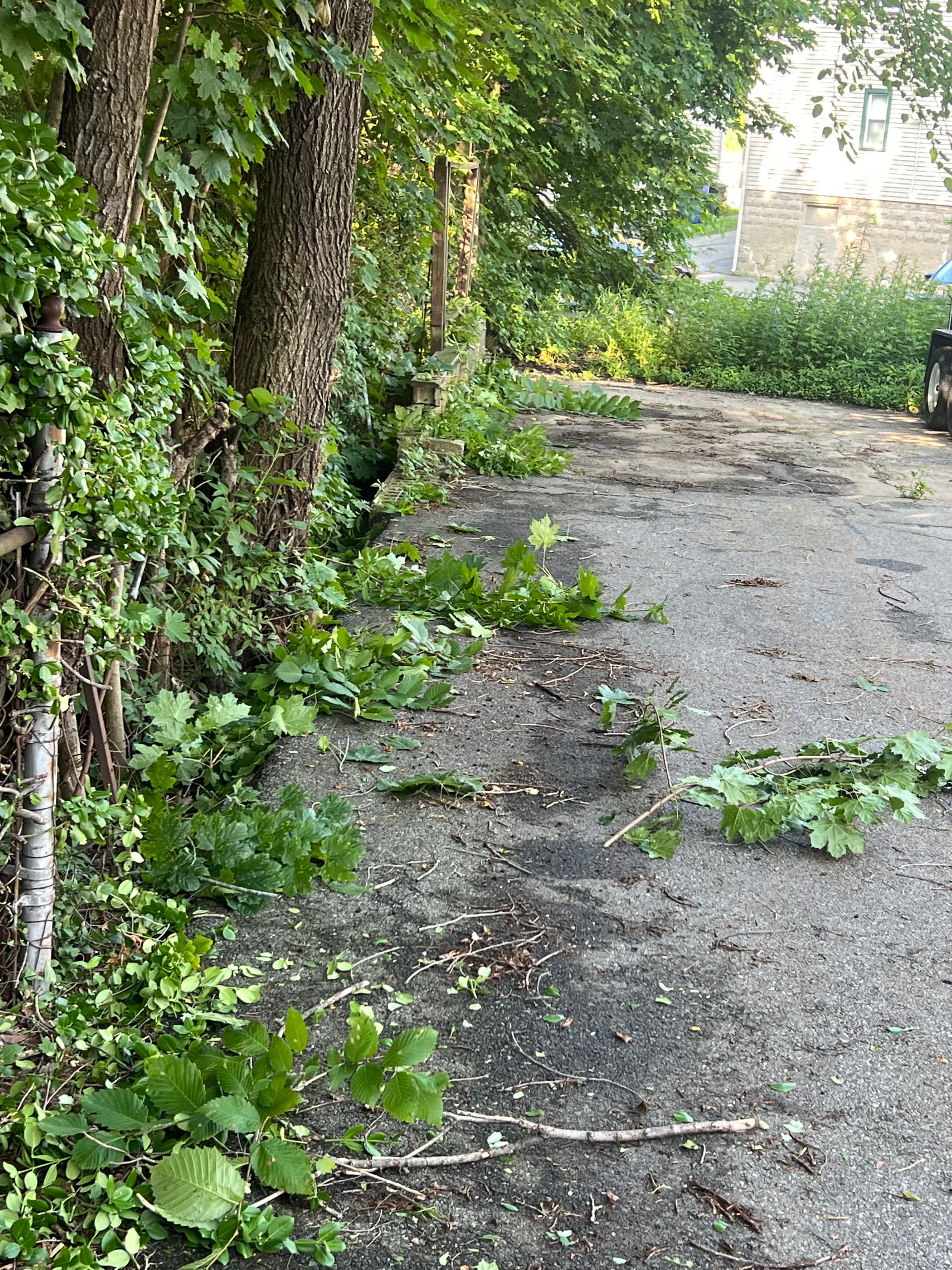 Gallery photos for Busy Season Is Here - Landscape Prep, Brush Clearing and Storm Cleanup: Image #2