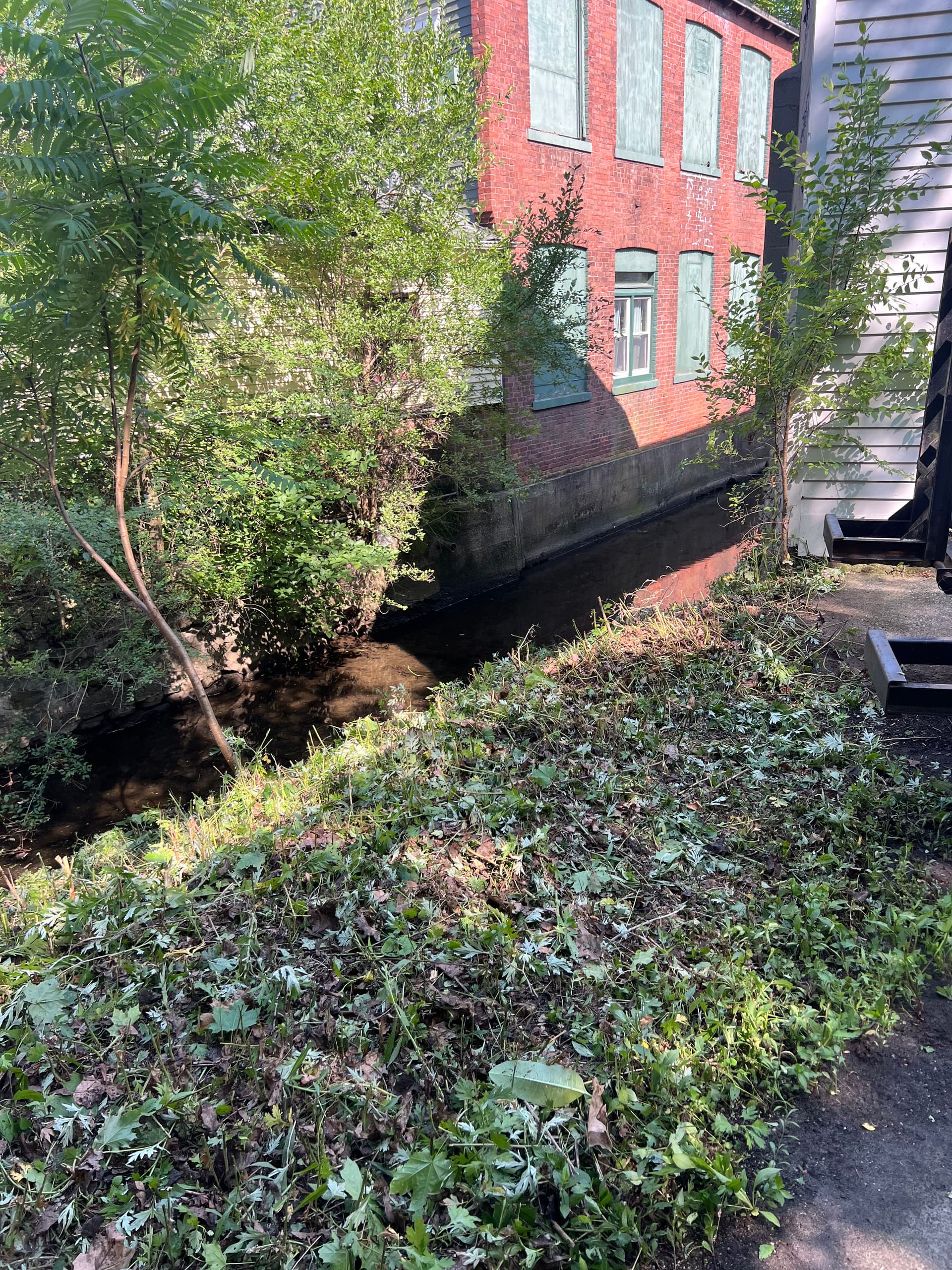 Gallery photos for Busy Season Is Here - Landscape Prep, Brush Clearing and Storm Cleanup: Image #4