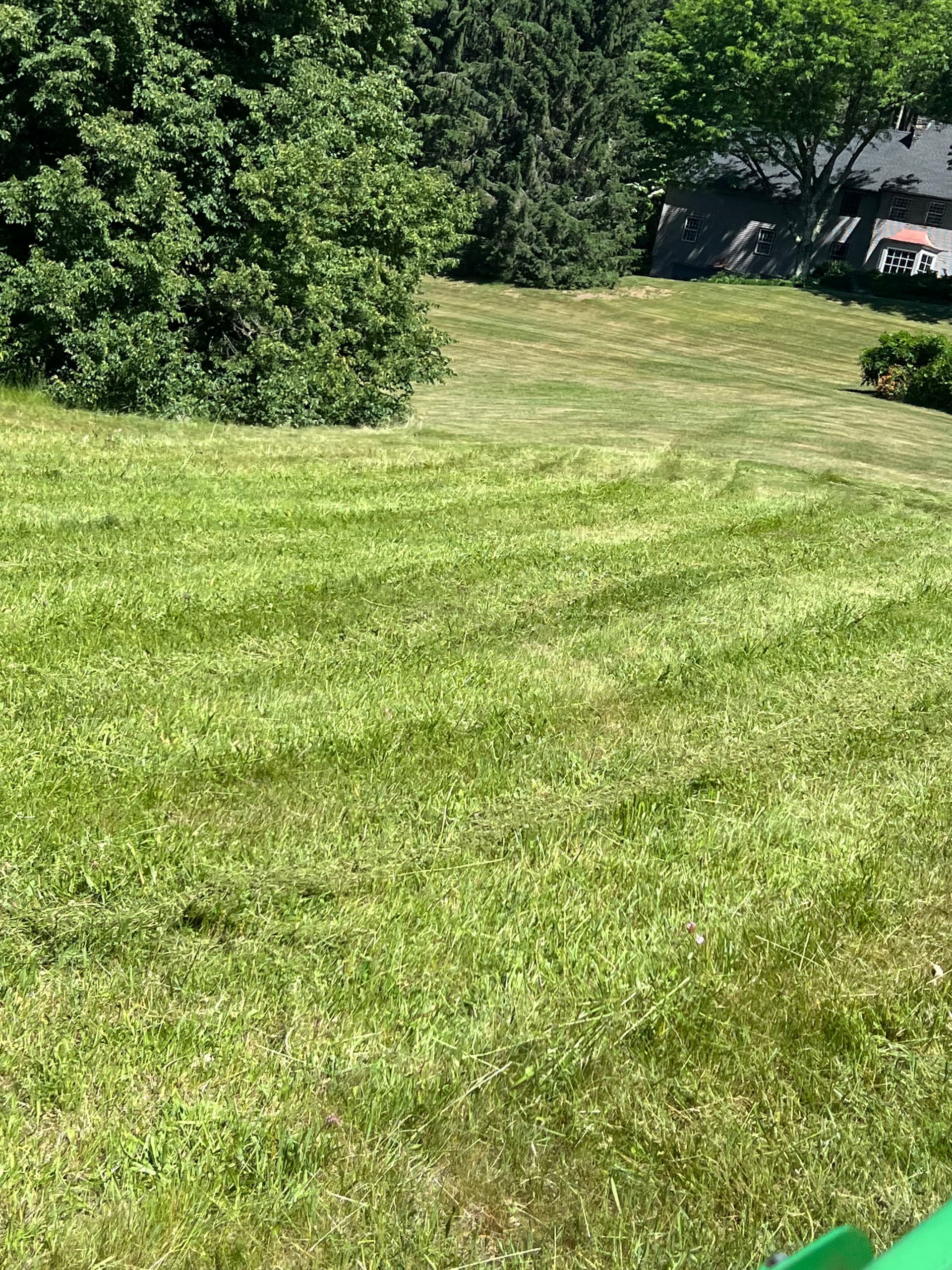 Gallery photos for Brush Hogging an Estate Property Back Into Shape: Image #1