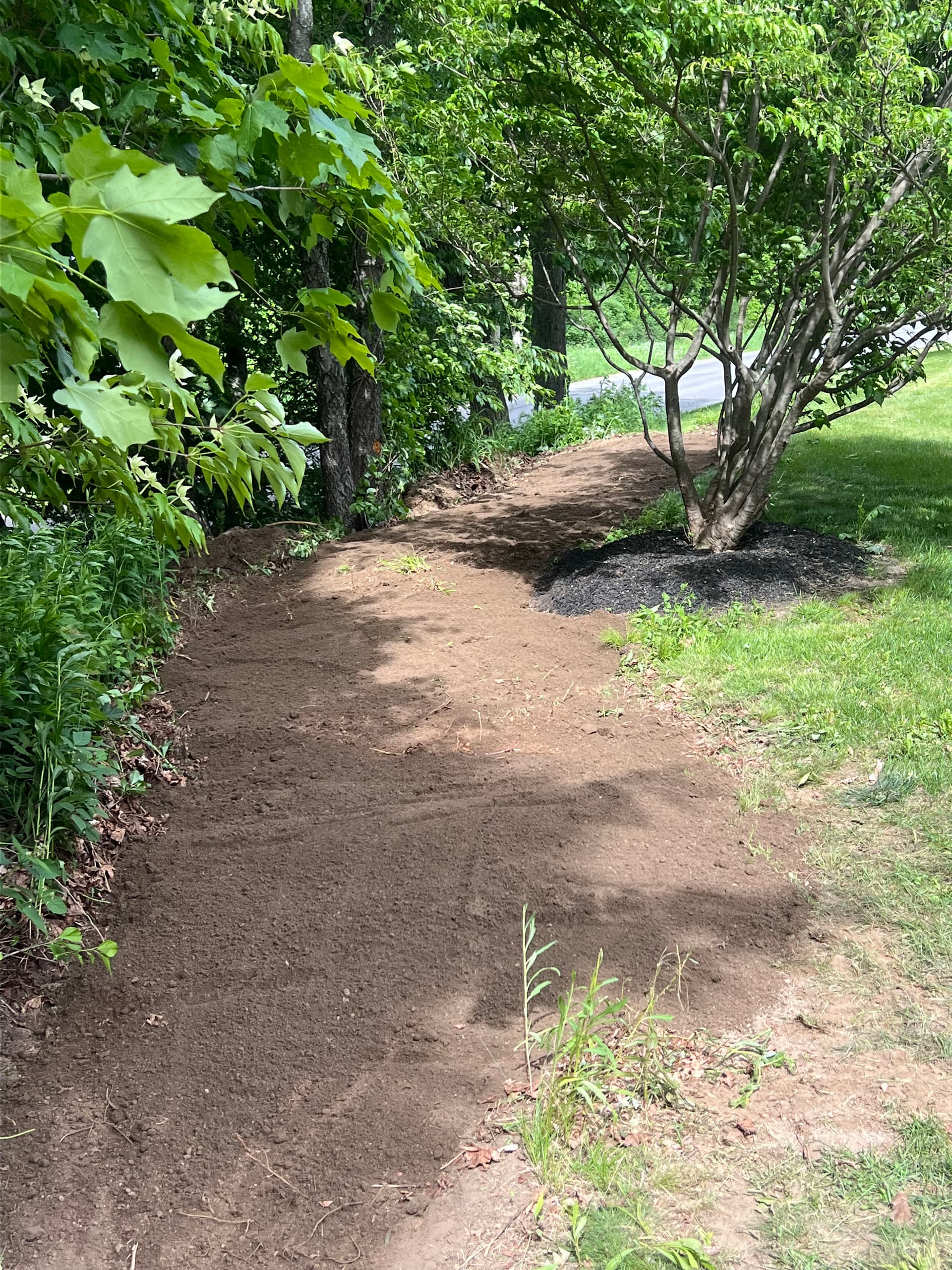 Gallery photos for Land Clearing and Lawn Expansion Done Right: Image #6