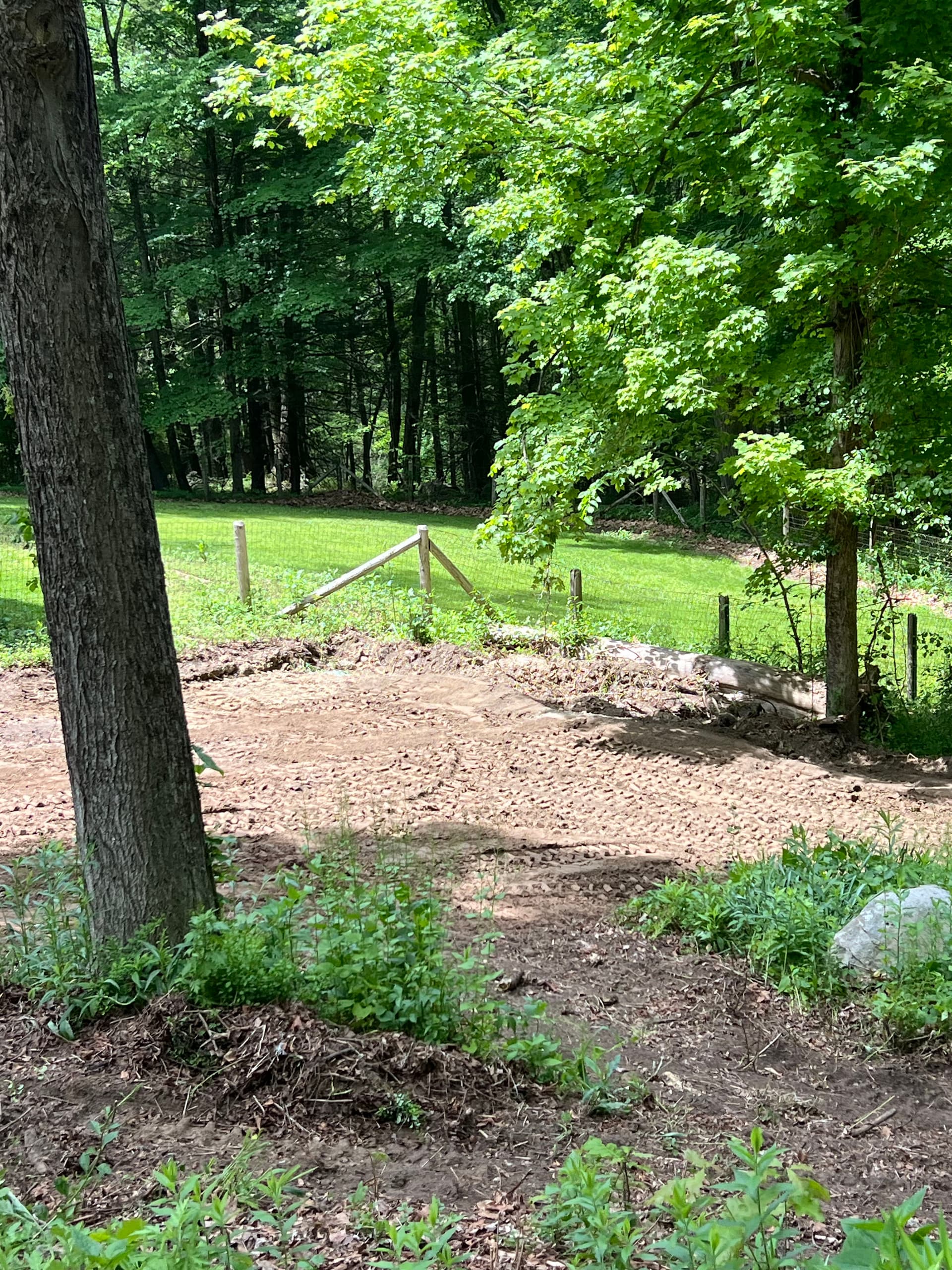 Gallery photos for Site Grading and Ground Leveling for a Lawn That Actually Drains: Image #4