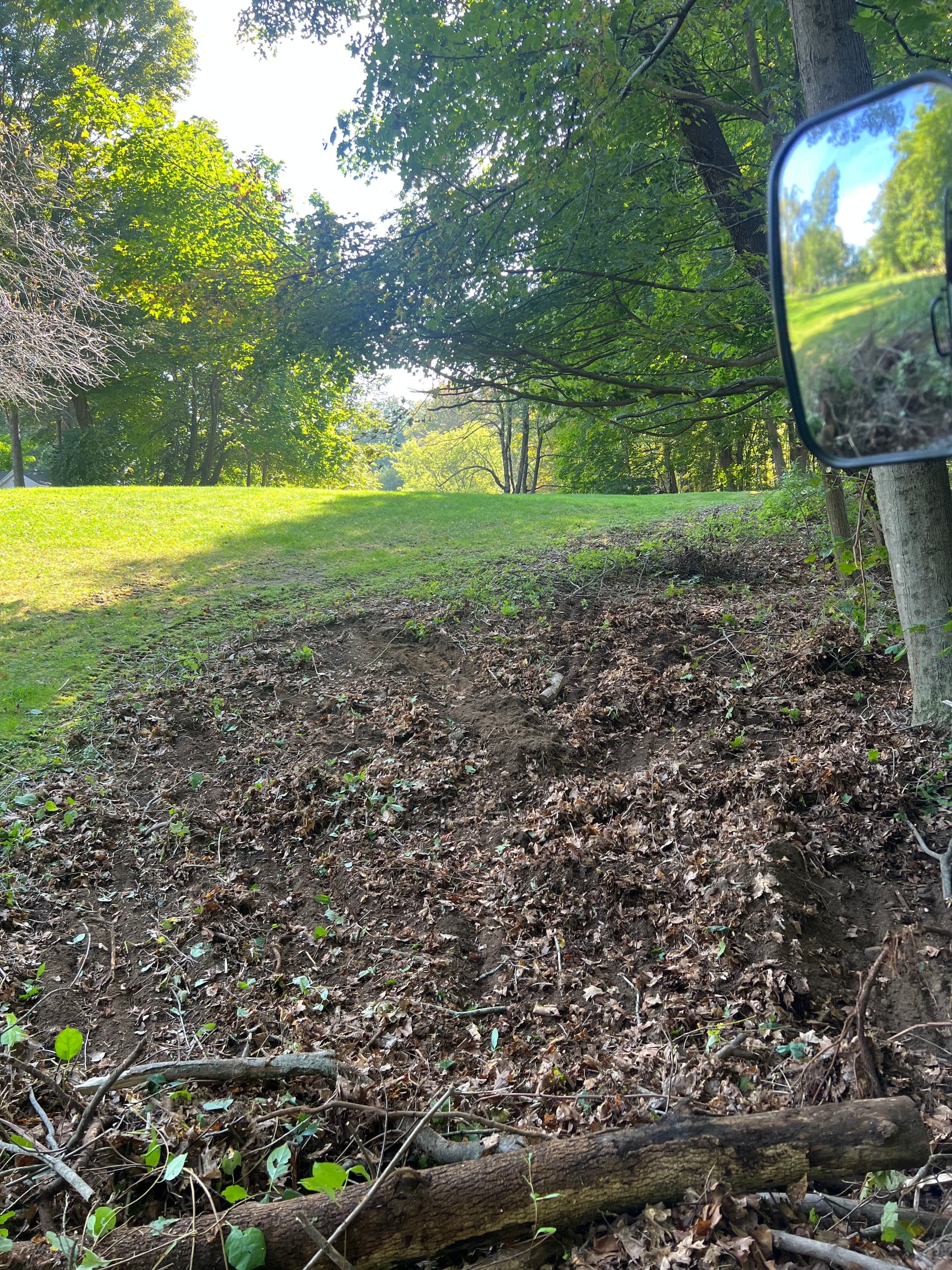 Gallery photos for Land Clearing and Lawn Expansion Done Right: Image #1