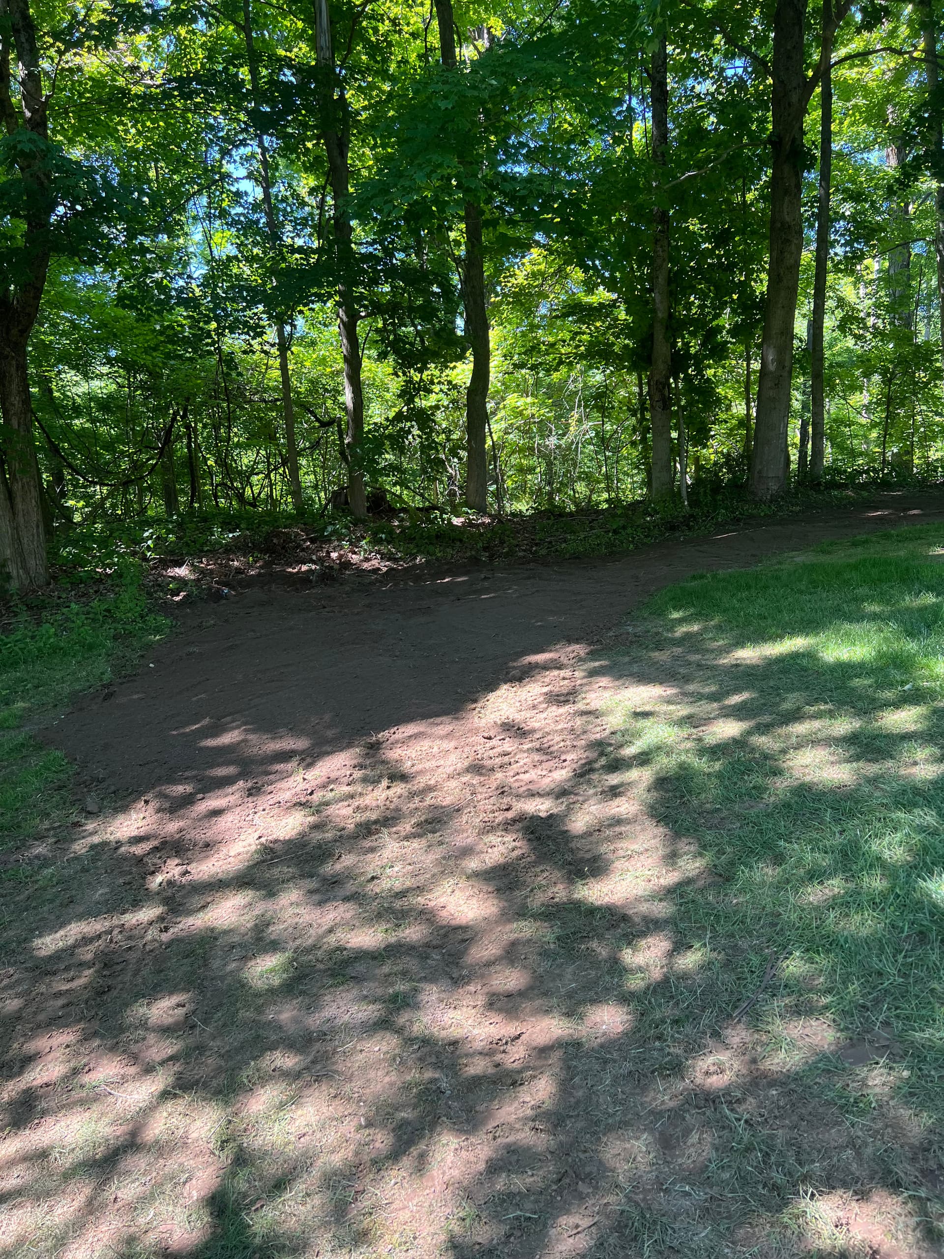 Gallery photos for Land Clearing and Lawn Expansion Done Right: Image #8