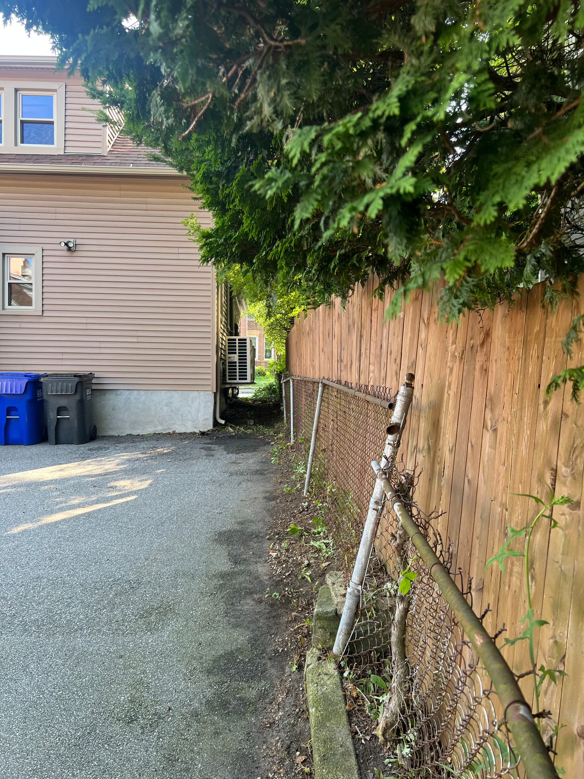 Gallery photos for Busy Season Is Here - Landscape Prep, Brush Clearing and Storm Cleanup: Image #3