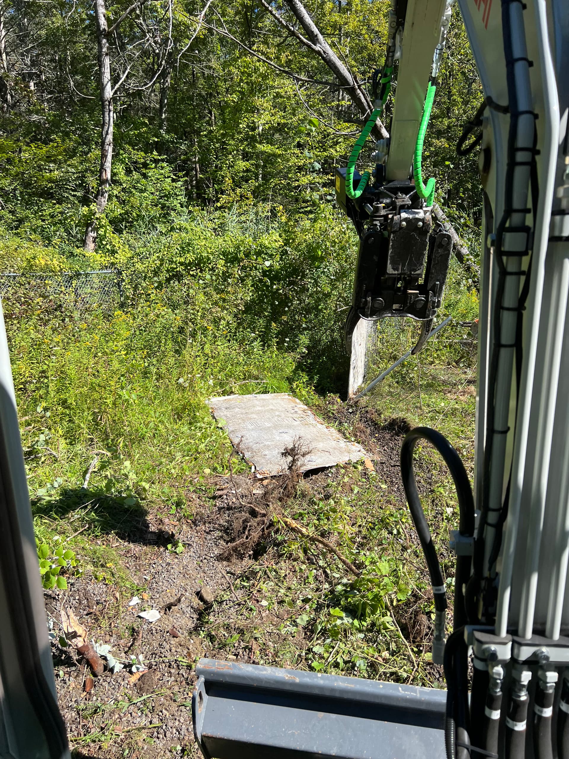 Gallery photos for Dog Kennel Removal Paves Way for Green Space Transformation: Image #2