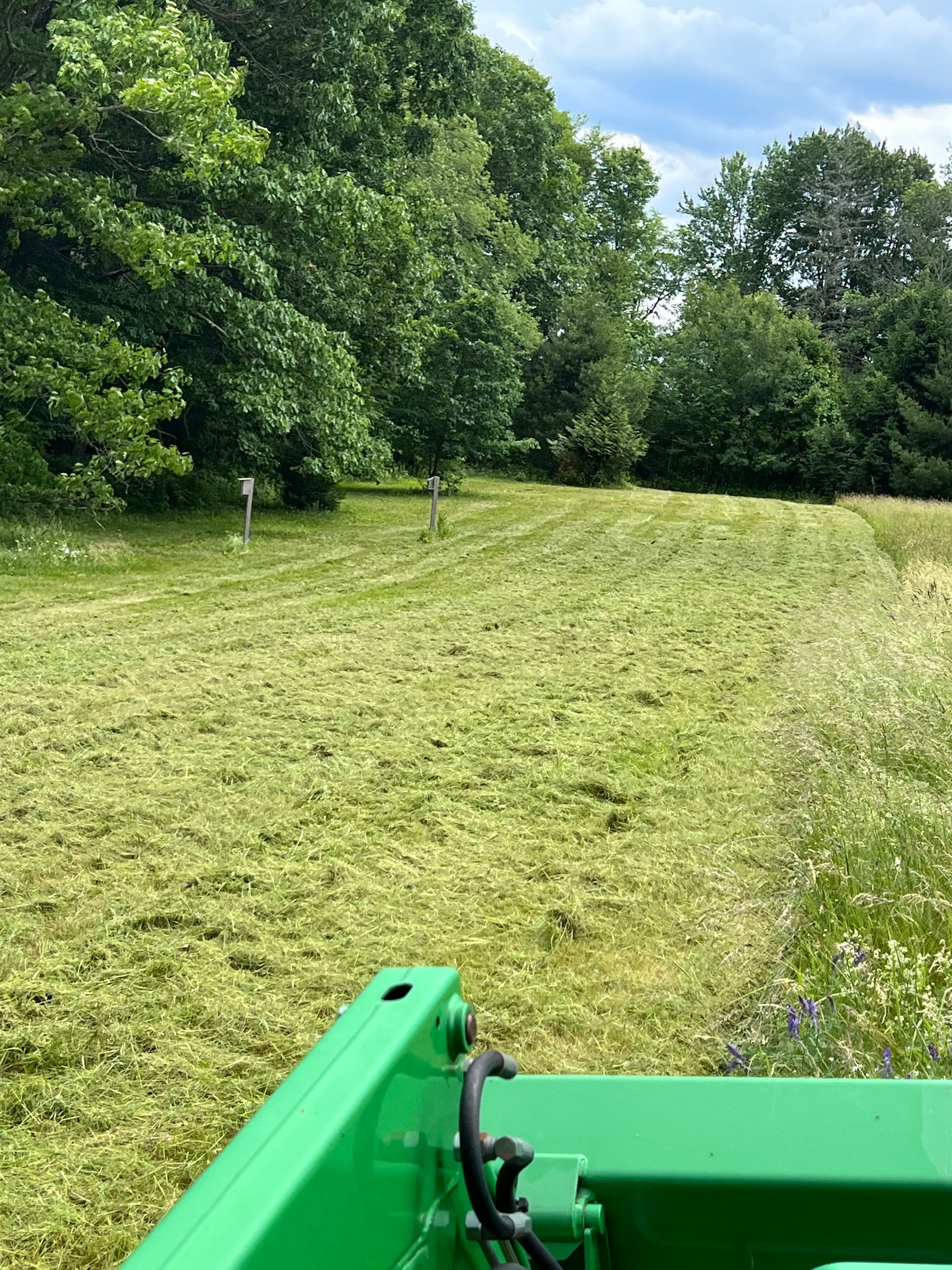 Gallery photos for Estate Field Brush Hogging Done Right Before the Fourth: Image #2